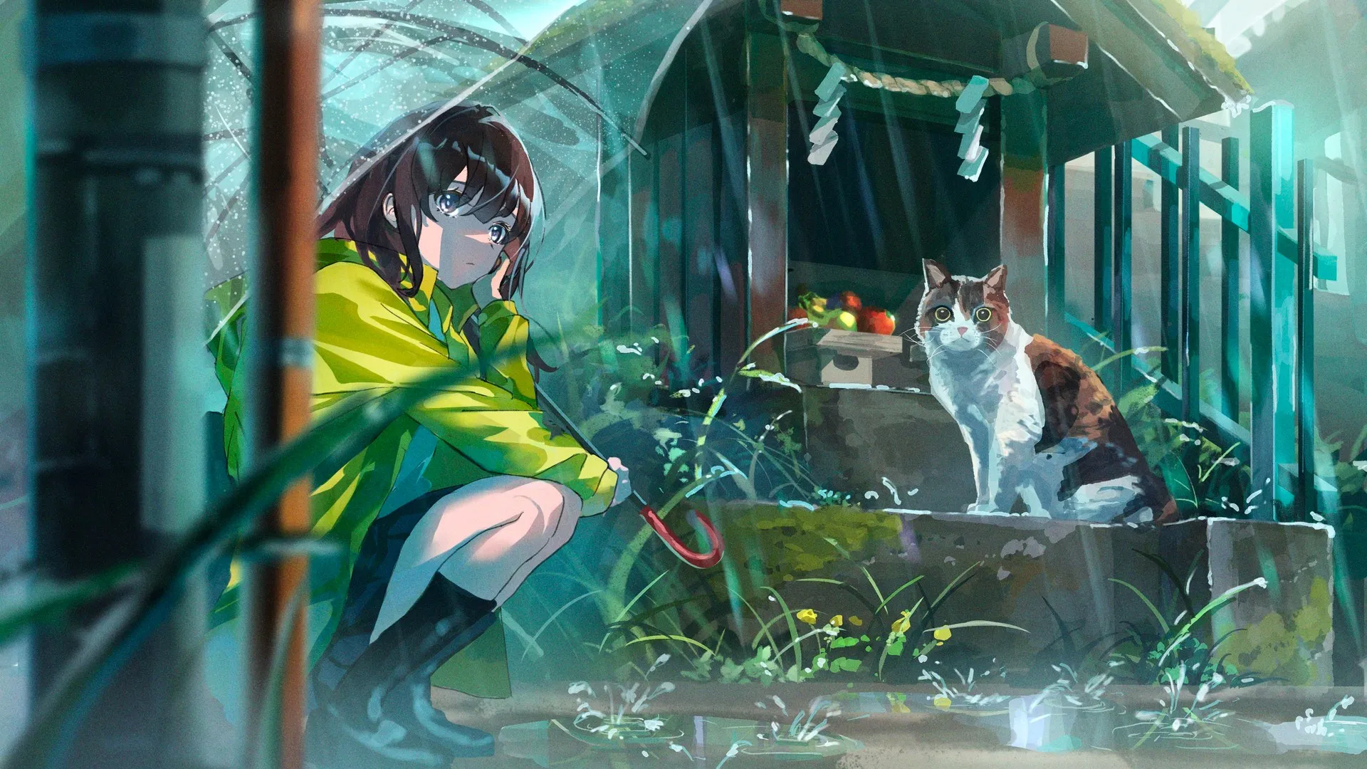 动漫 动漫女孩 猫 雨 伞 电脑壁纸 4K壁纸