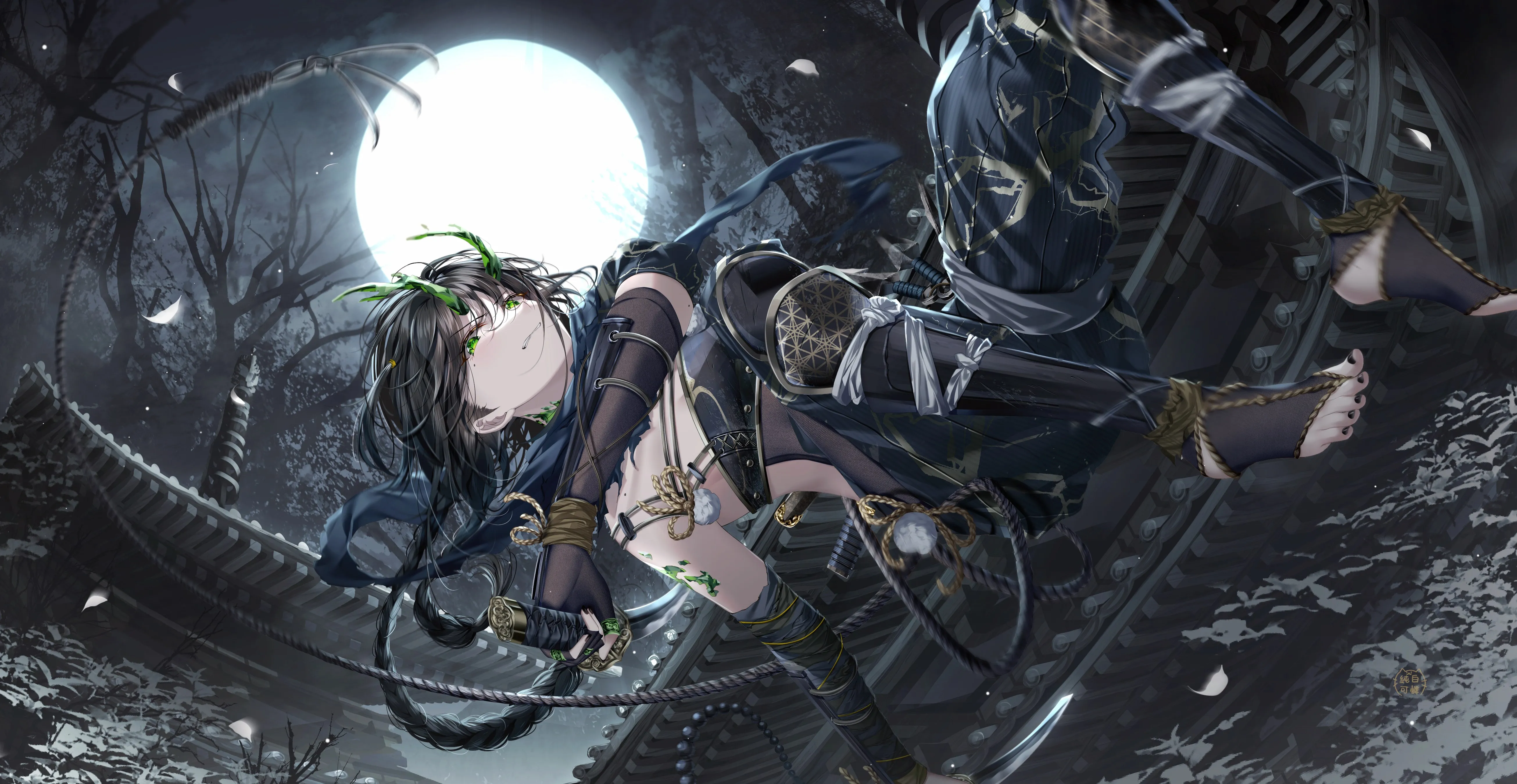 凯伦 绿色 眼睛 辫子 动漫 动漫女孩 黑发 忍者 女孩 夜晚 月亮 电脑壁纸 4K壁纸