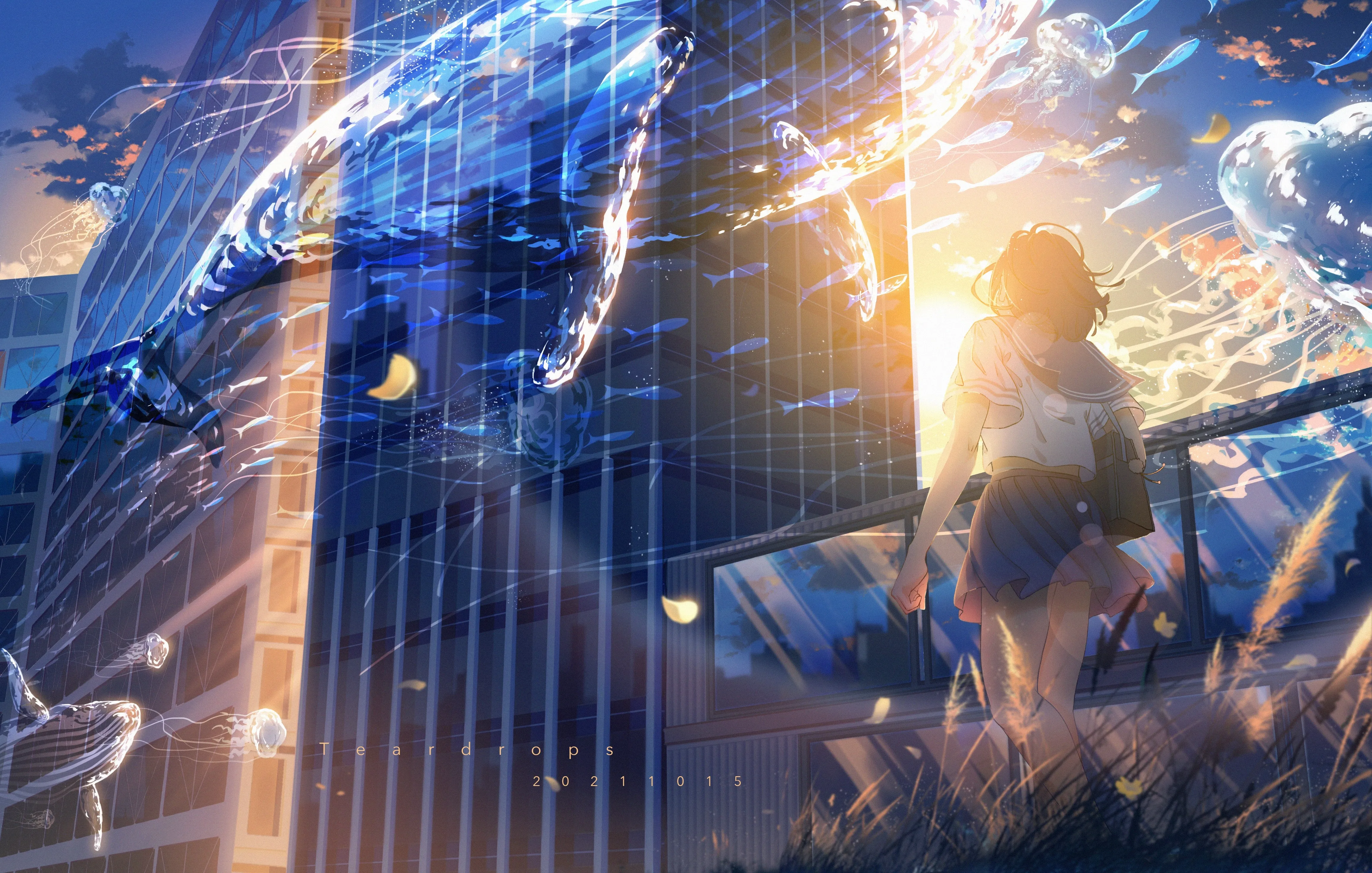 女学生 散步 动漫 动漫女孩 校服 日落 夕阳辉光 鲸鱼 水 天空 云 裙子 动物 水母 鱼 包 花 电脑壁纸 4K壁纸