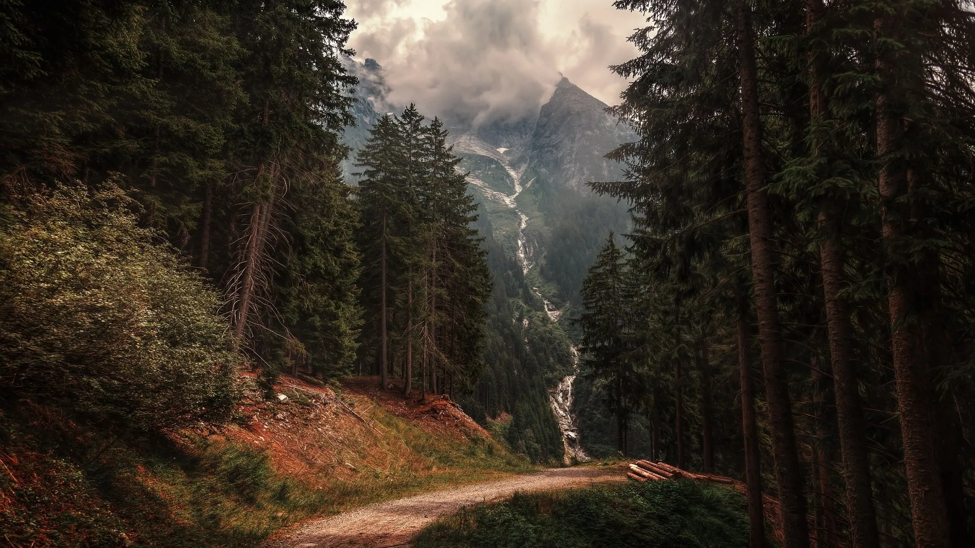 自然 户外 树木 山脉 森林 电脑壁纸 4K壁纸