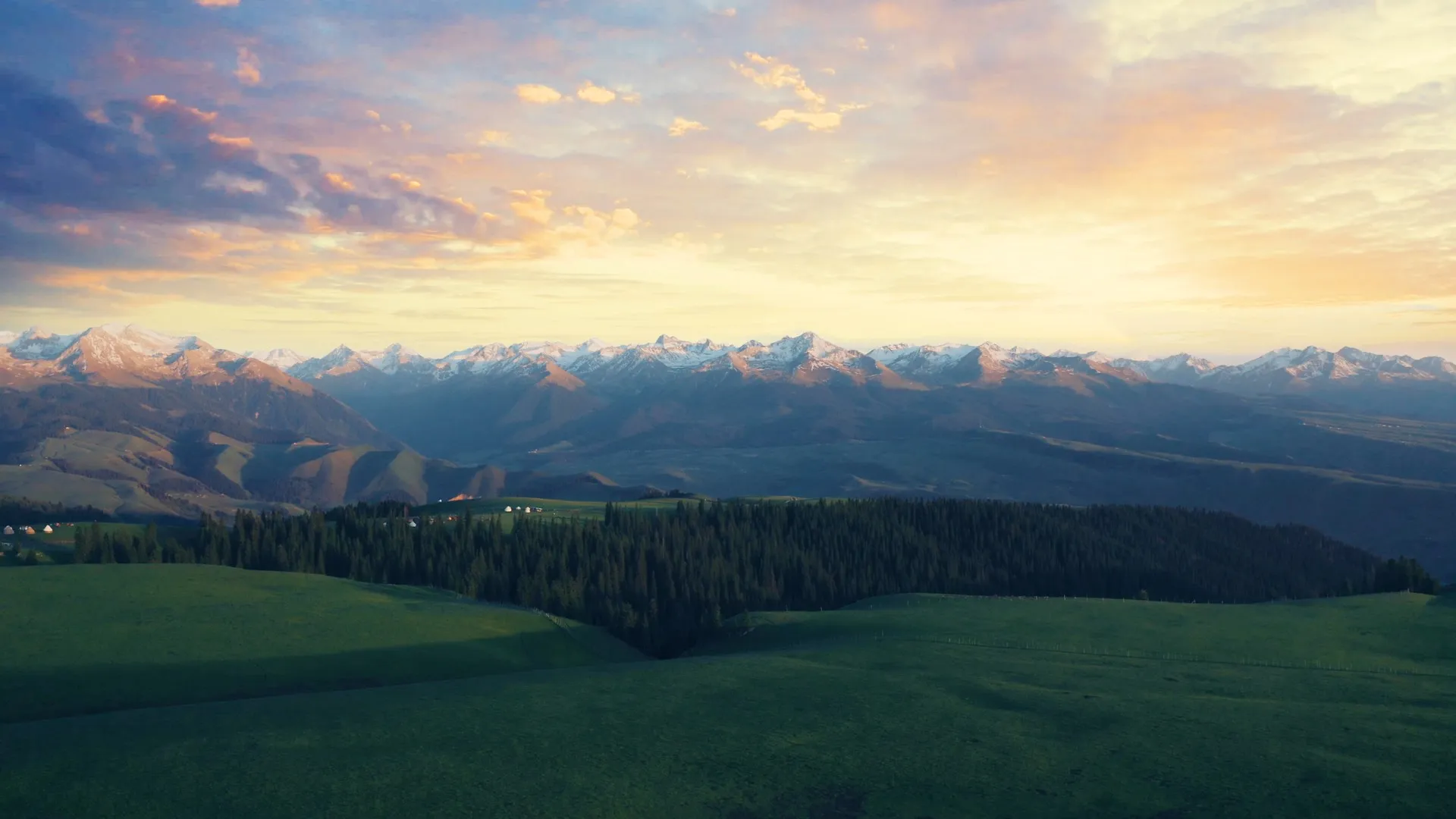 云 户外 日出 景色 草地 森林 自然 电脑壁纸 4K壁纸