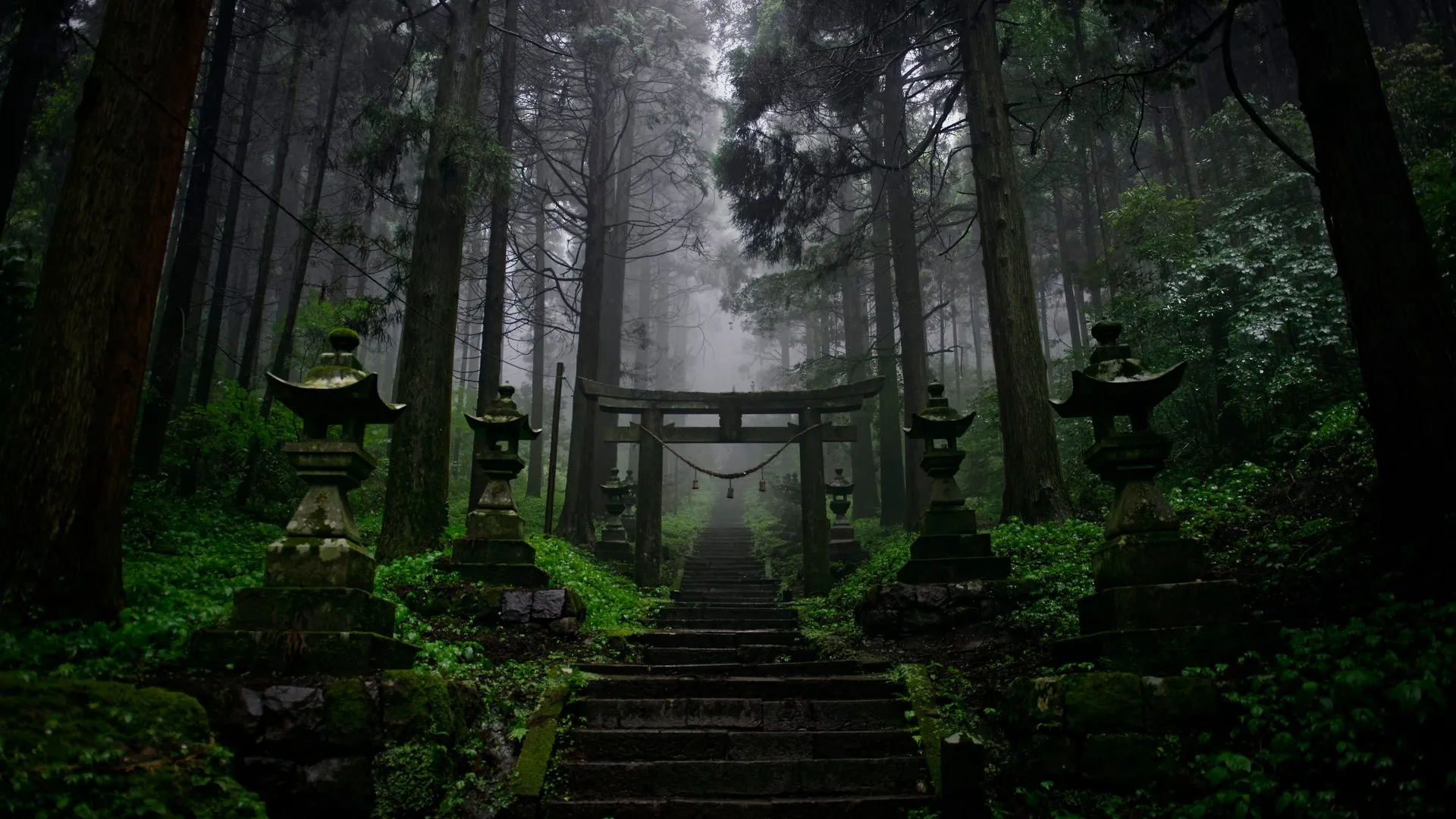 森林 寺庙 热带森林 亚洲 黑暗 薄雾 电脑壁纸 4K壁纸