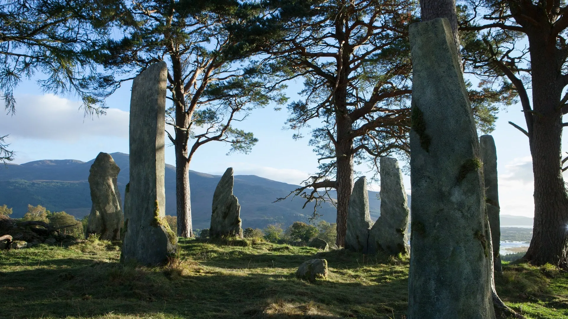 石头 自然 风景 树木 岩石 外乡人 电脑壁纸 4K壁纸