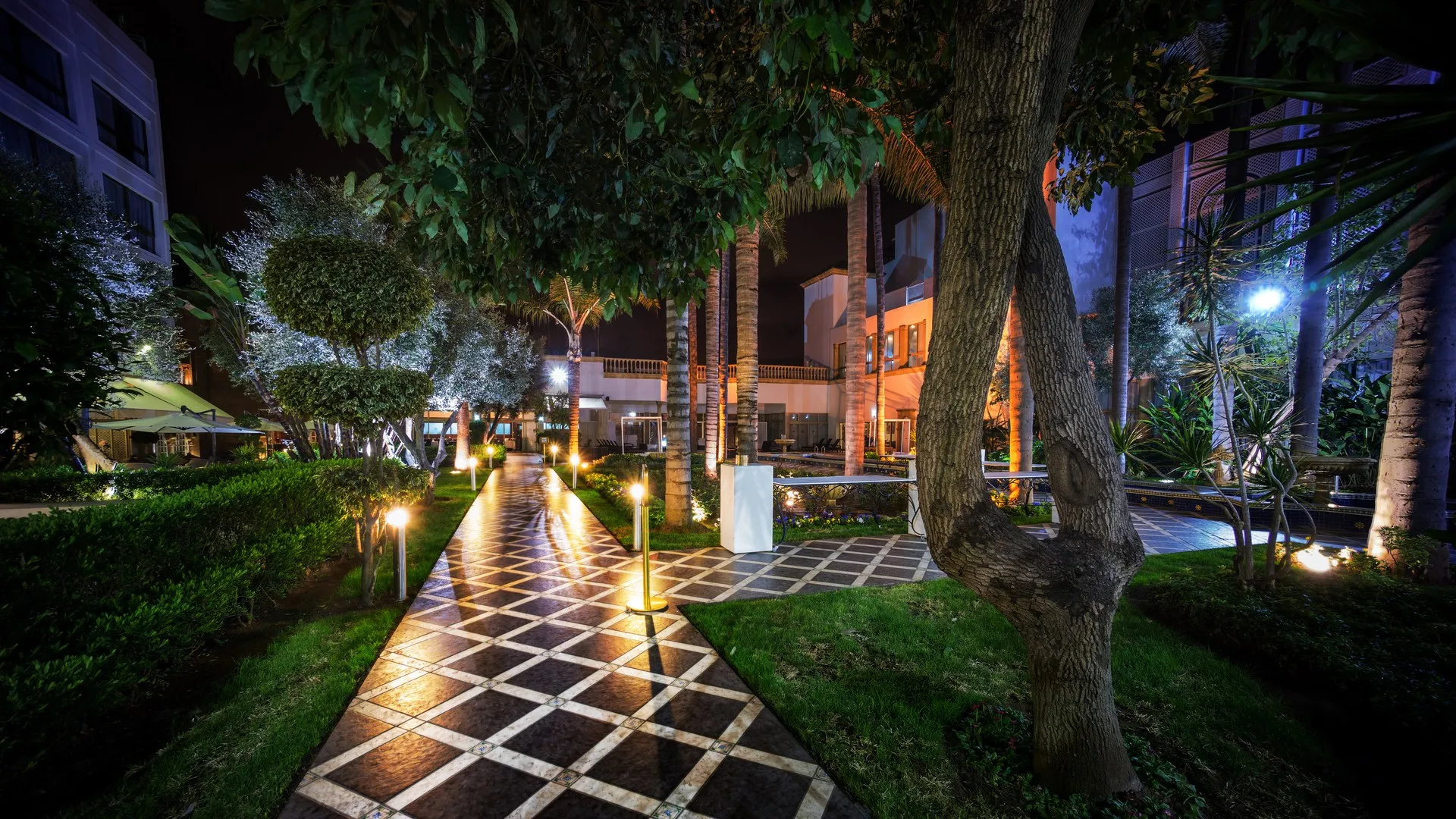 摩洛哥 拉巴特 城市 花园 夜 树 灯 电脑壁纸 4K壁纸