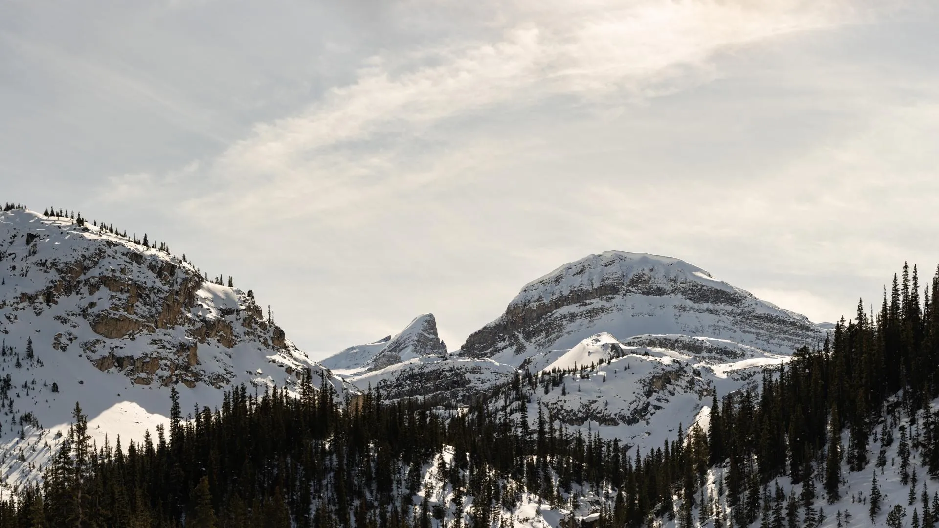 自然 景观 森林 雪 冬季 山脉 全景 悬崖 卷云 电脑贴纸 8K贴纸