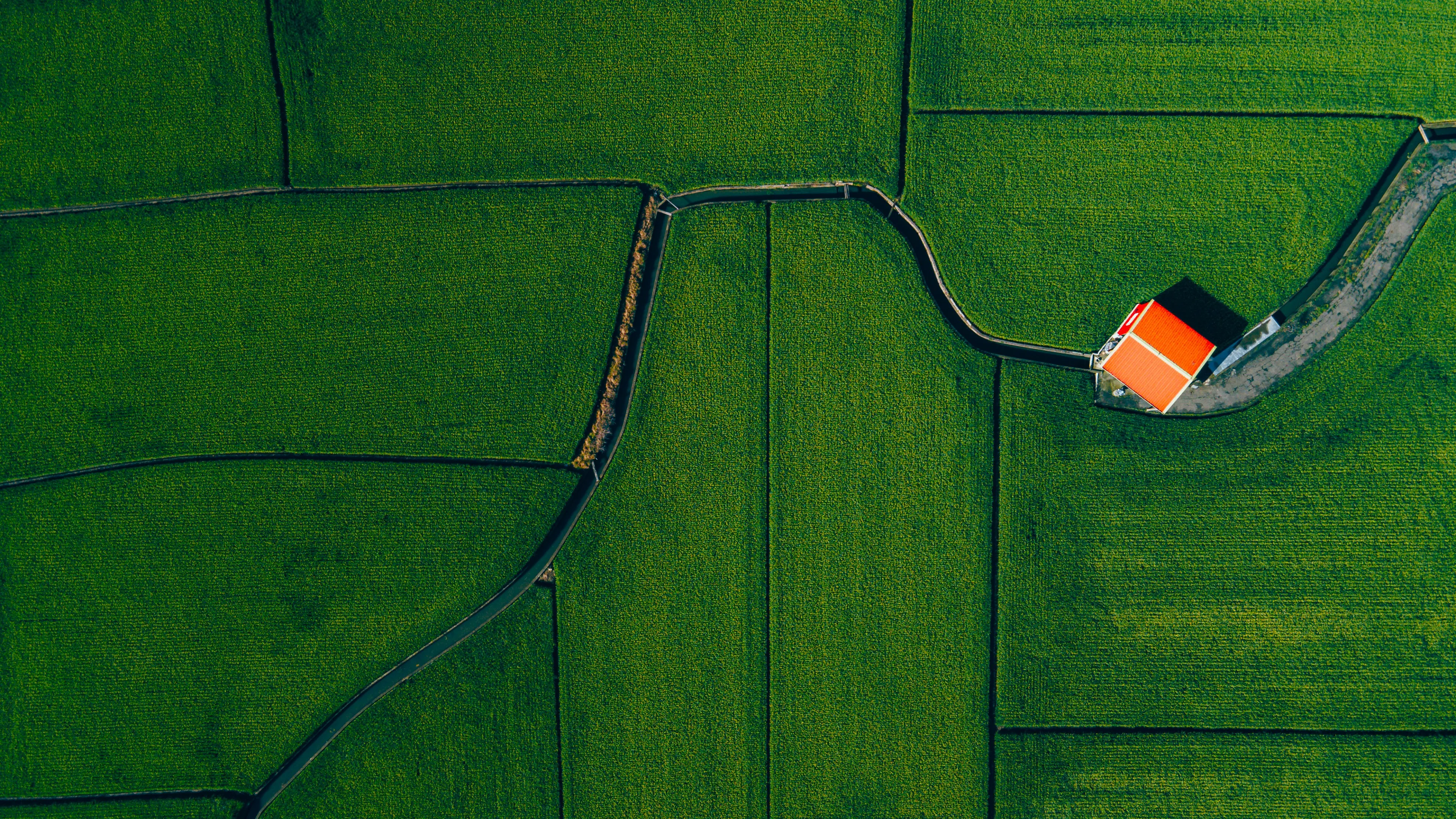 自然 农场 房屋 田野 照片 鸟瞰 绿色,4K壁纸