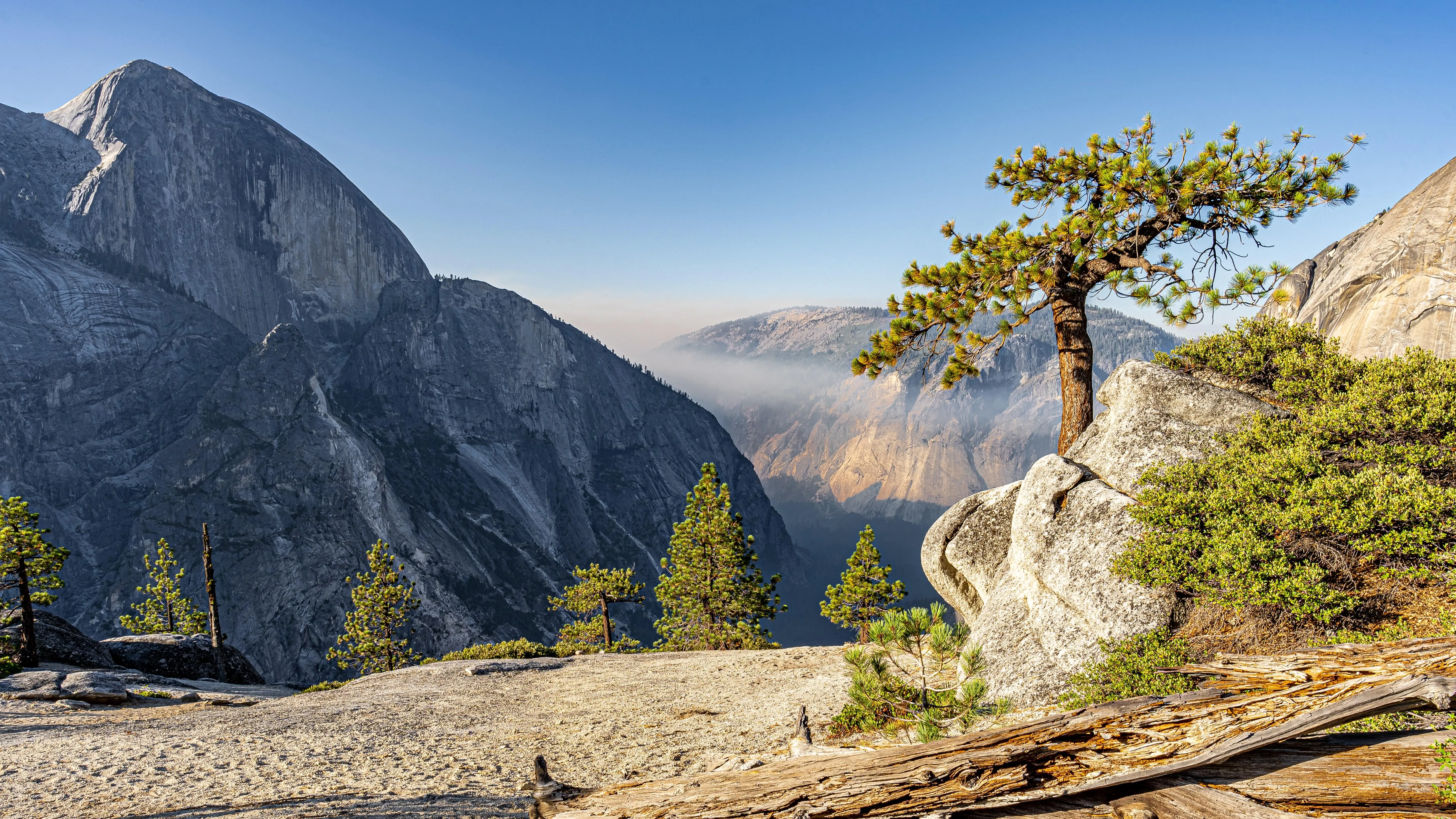 树木 岩石 自然 景观 悬崖