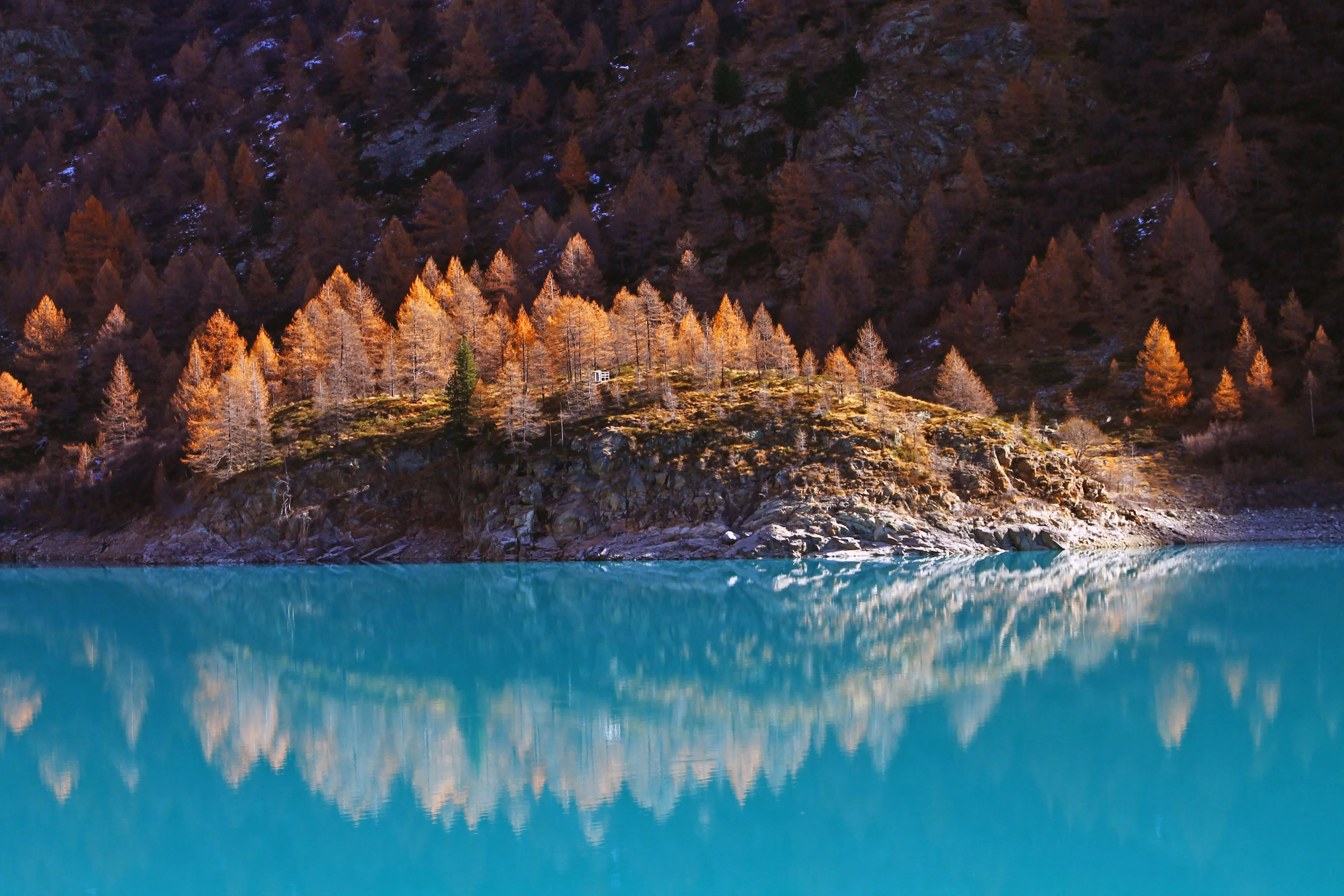 景观 水 树木 秋天 岩石 云杉 河流 湖泊 自然 4K壁纸