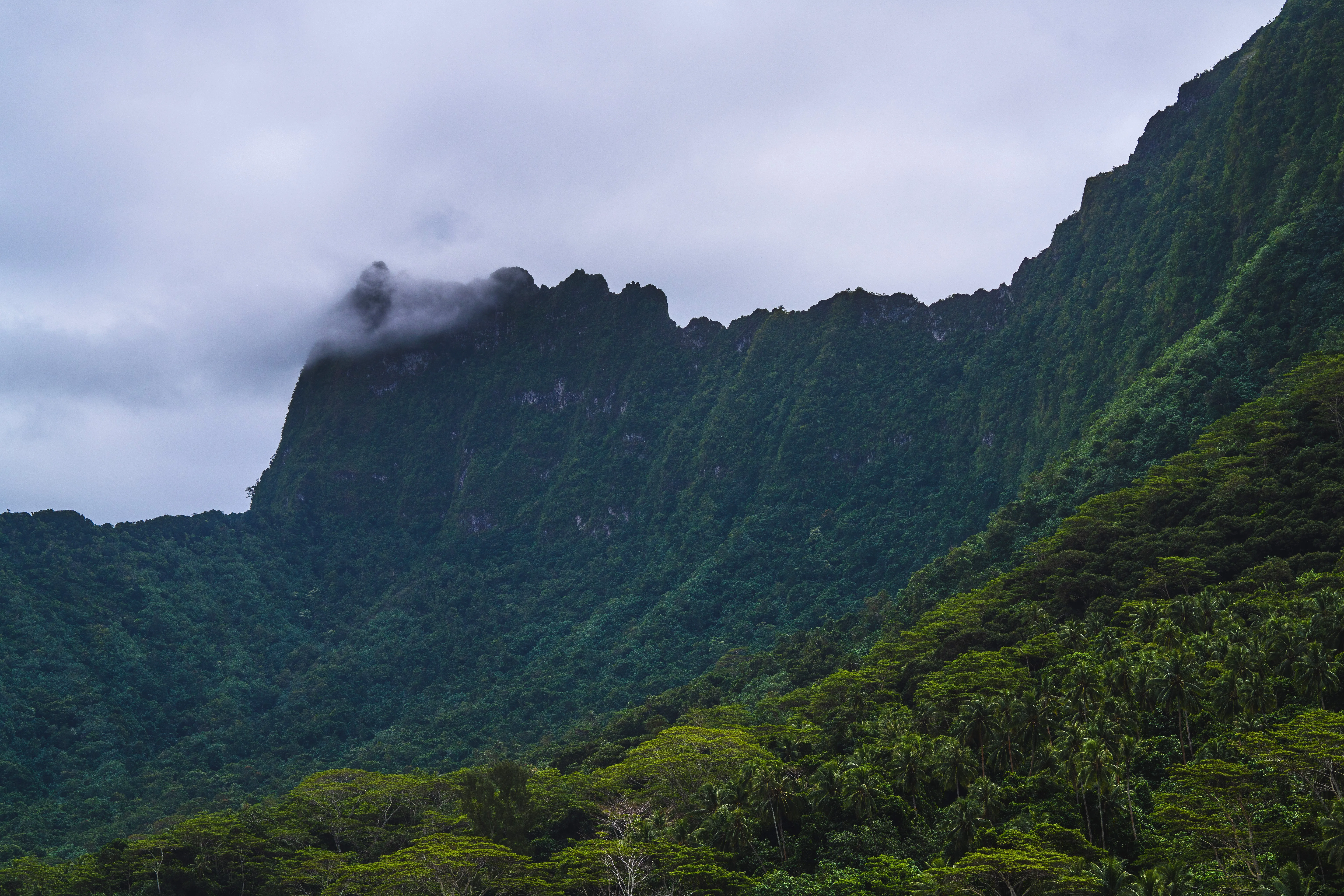 山脉 风景 自然 云 丛林 岛屿 8K壁纸