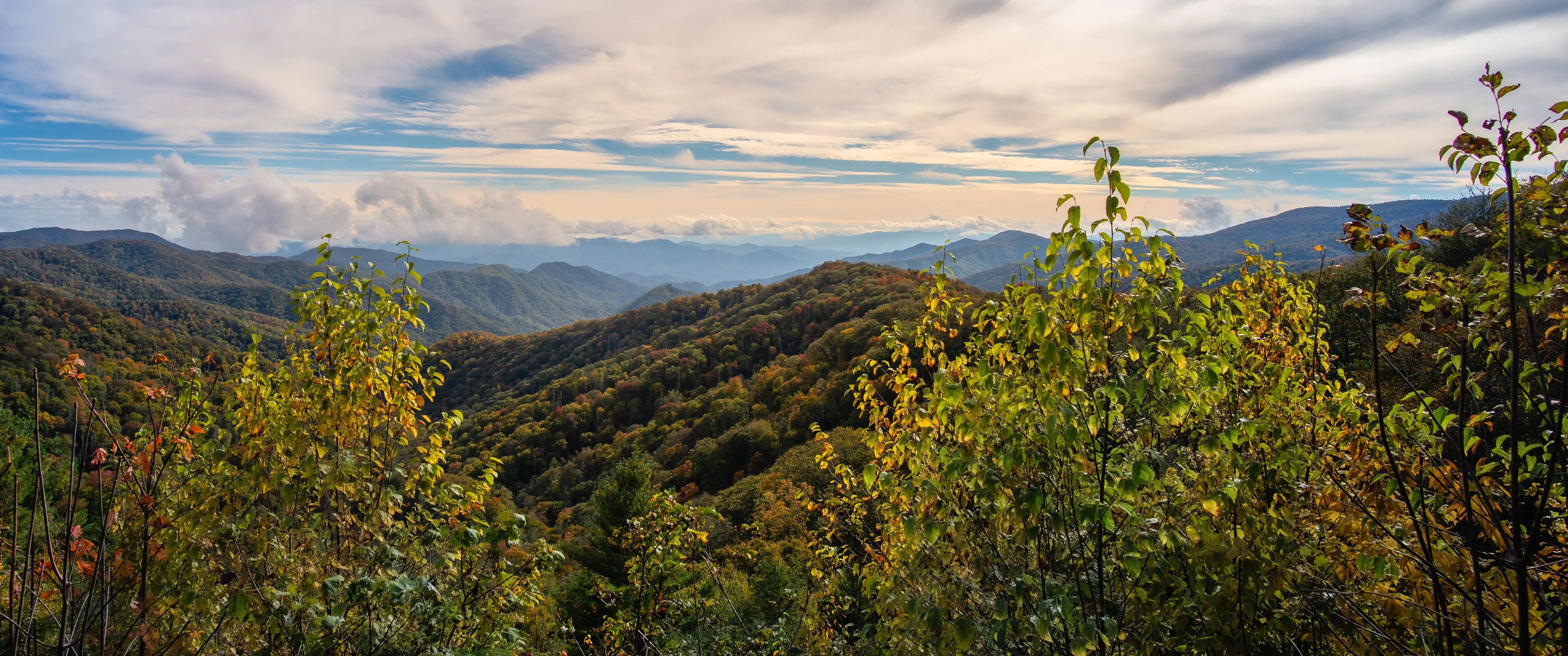 云 森林 自然 景观 山脉 山景 树木 4K壁纸