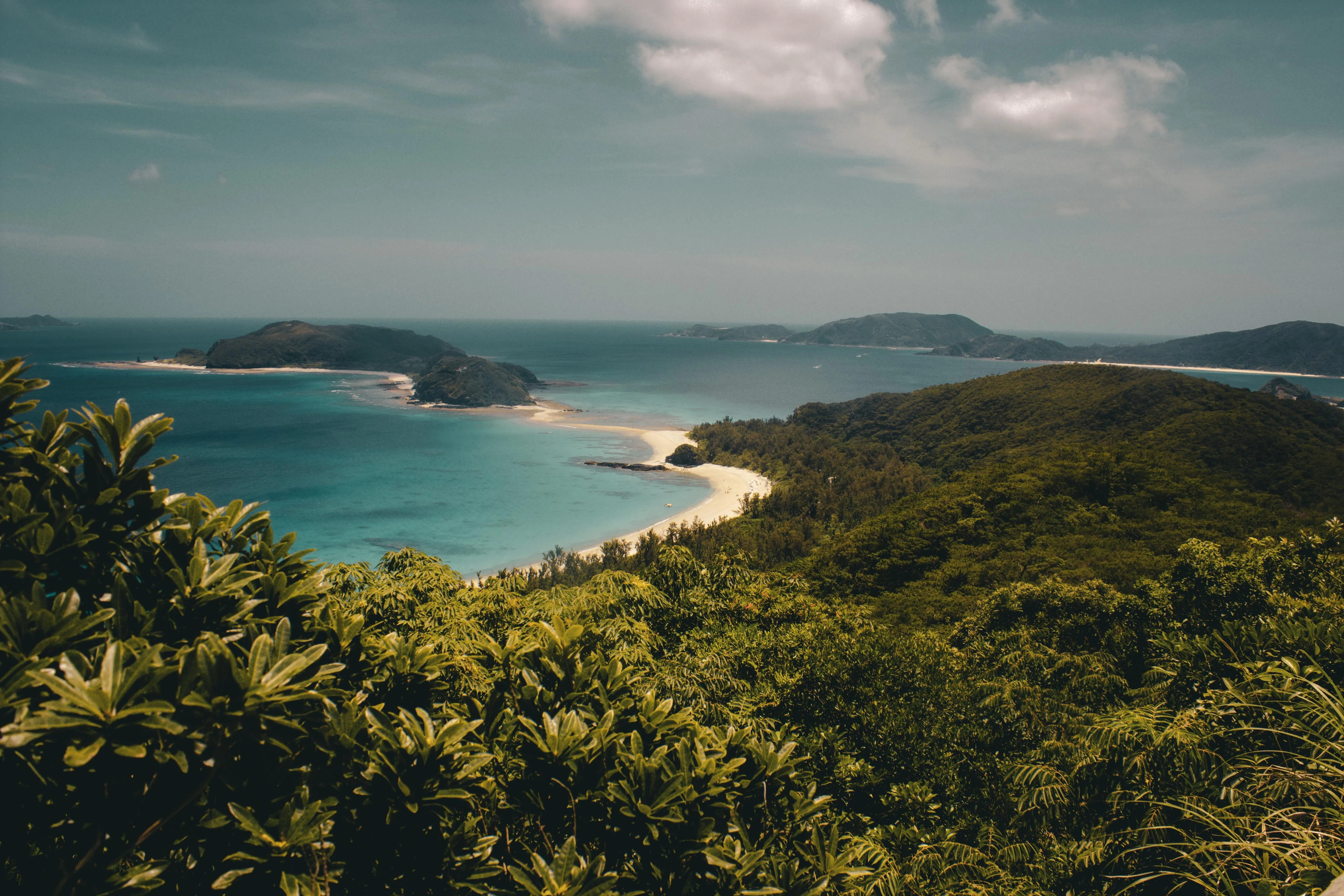 景观 岛屿 自然 森林 海滩 海洋 云 4K壁纸