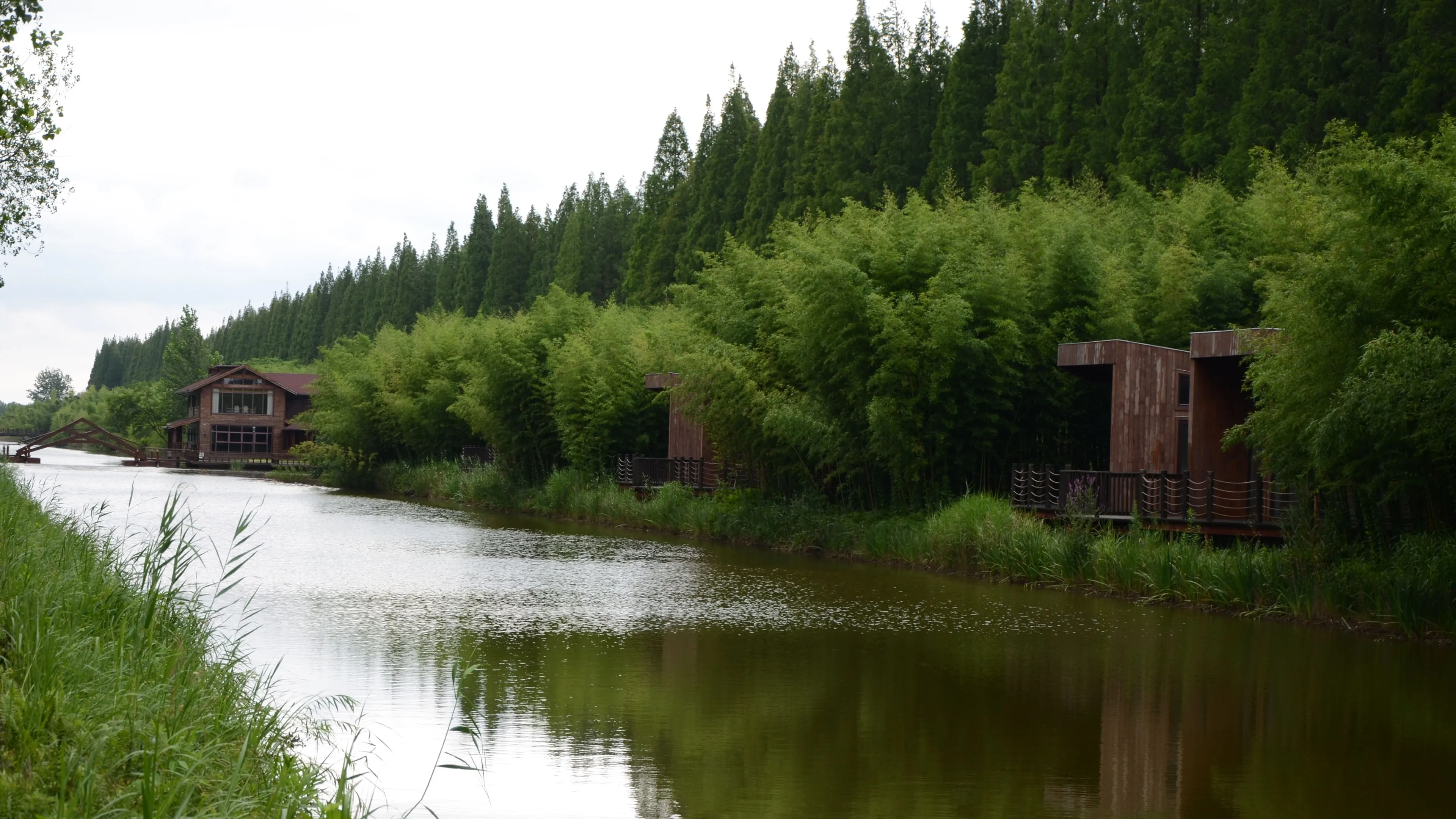 森林 水 自然 房屋 树木 河流 桥梁 电脑壁纸 4K壁纸