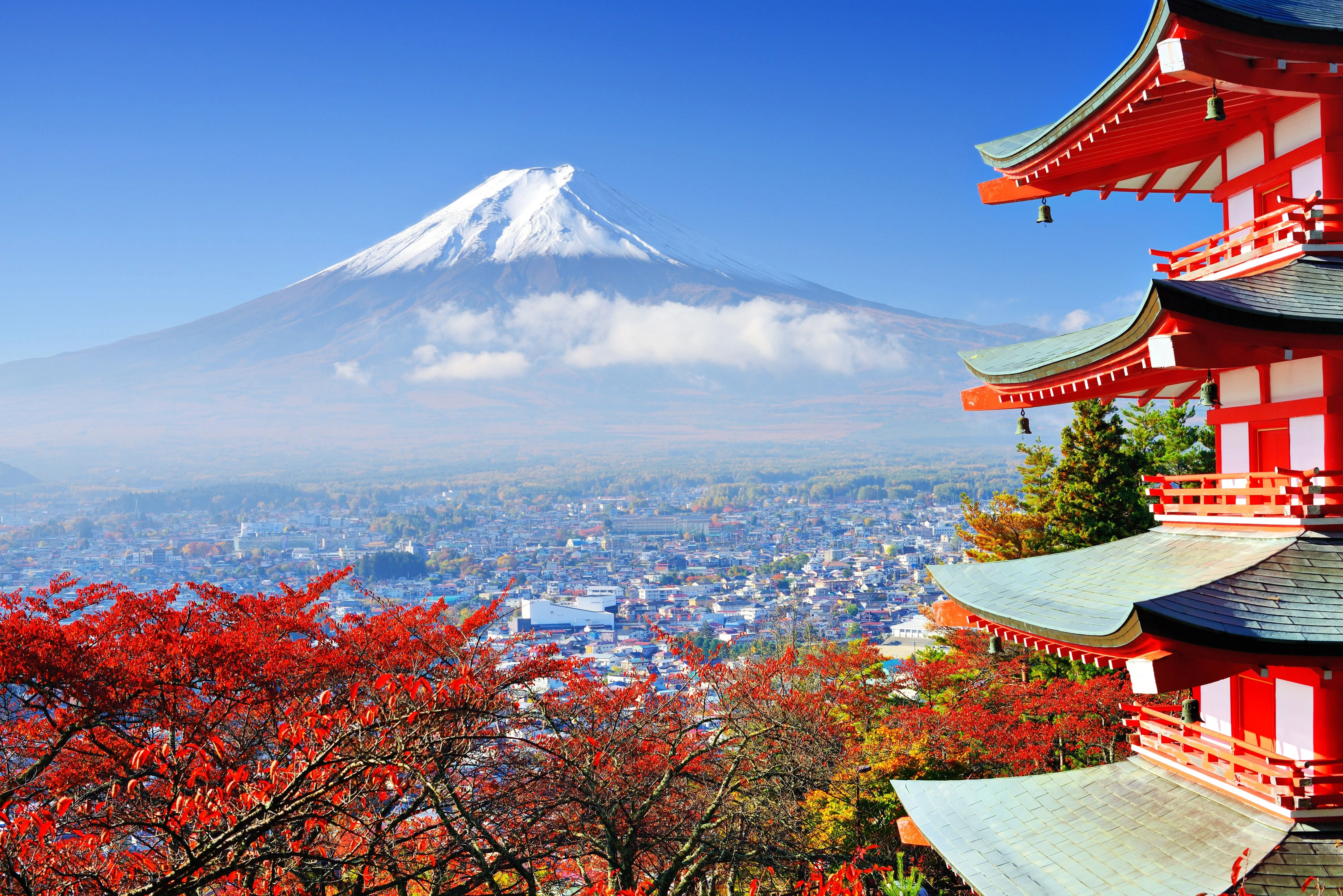  天际线 富士山 火山  风景 建筑 樱花 电脑壁纸 4K壁纸