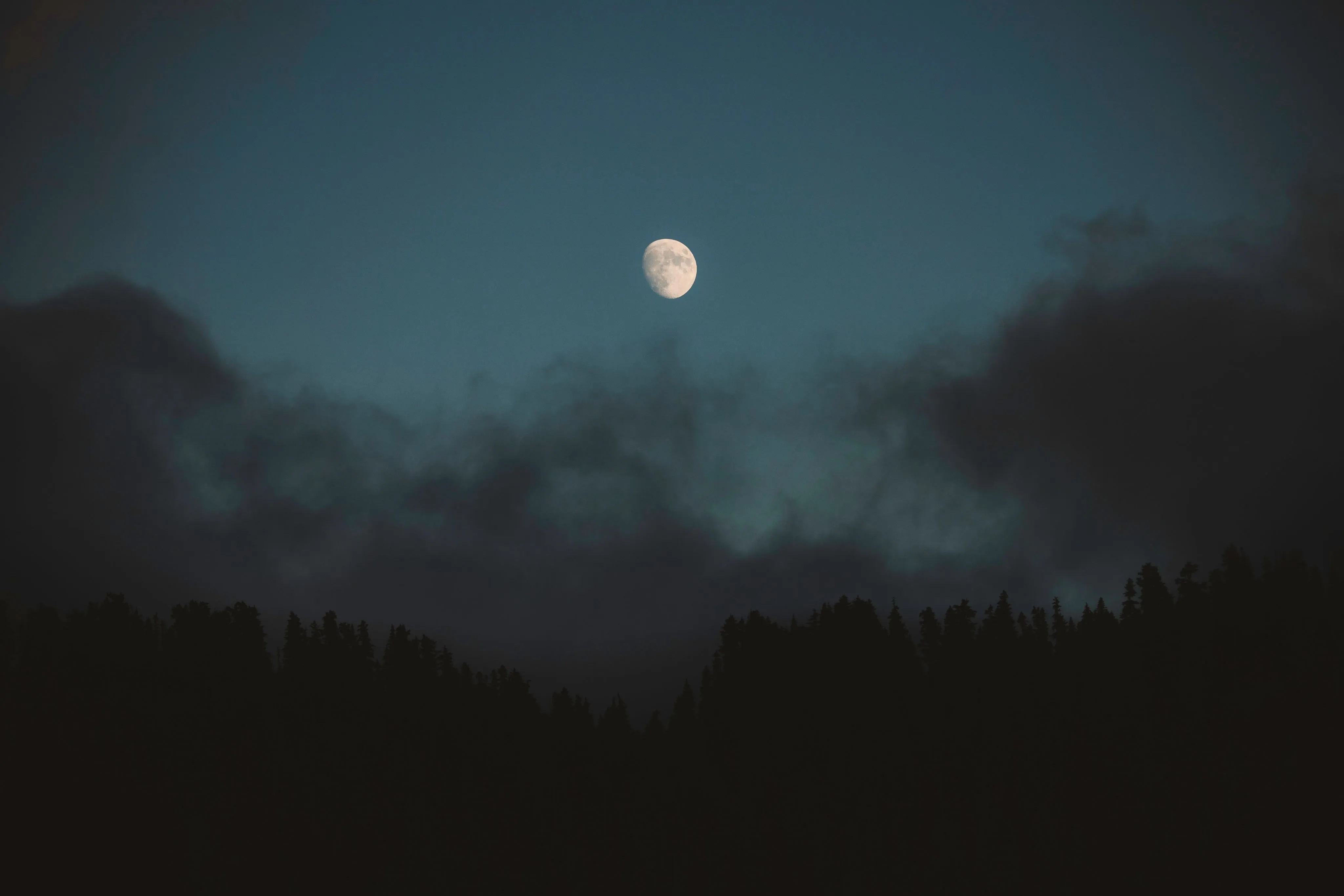 自然 云彩 松树 森林 月亮 月光 夜晚 天空 4K壁纸