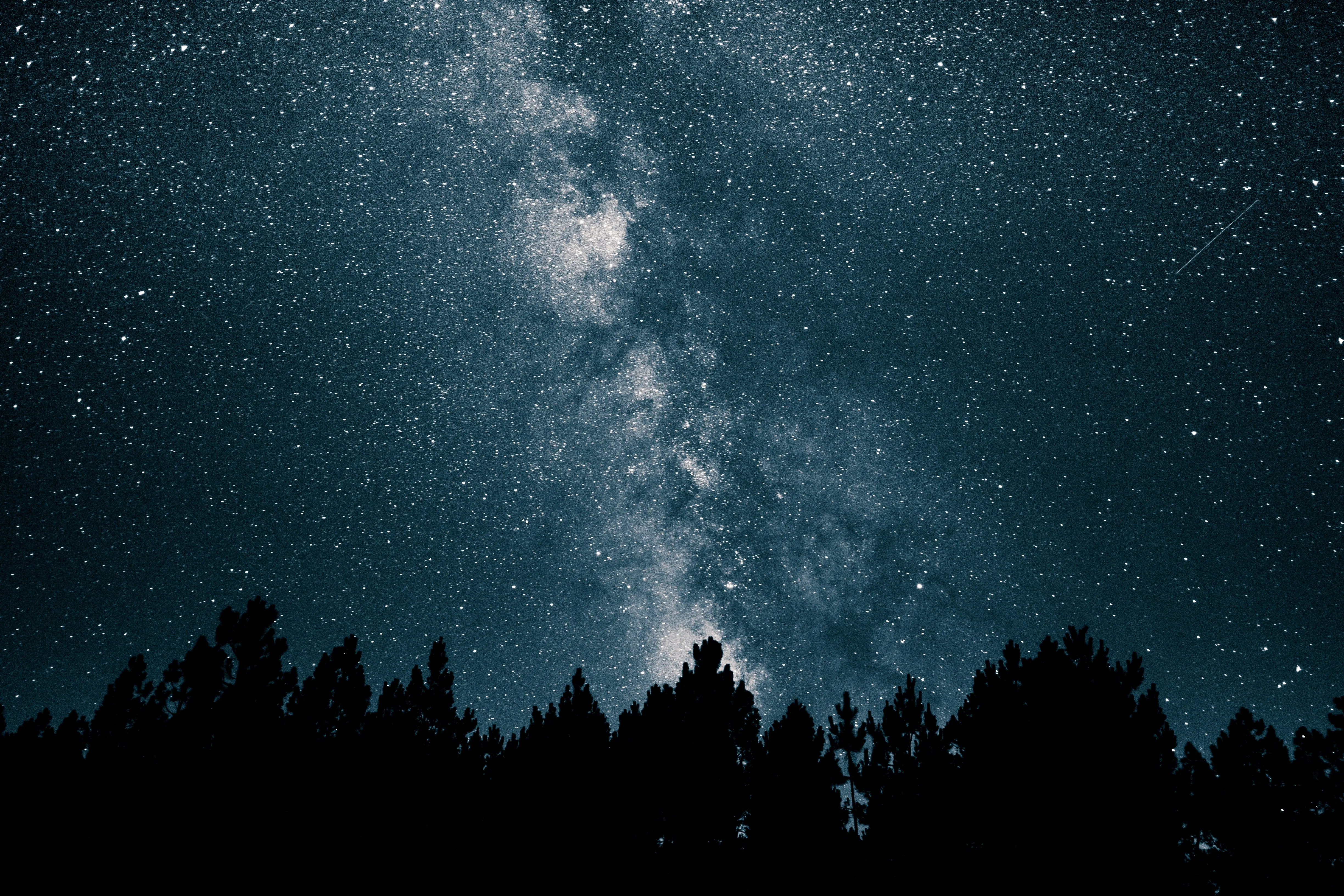 夜晚 天空 繁星 夜 夜空 蓝色 银河 树木 黑暗 黑色 天文 星云 彗星 星星 4K壁纸