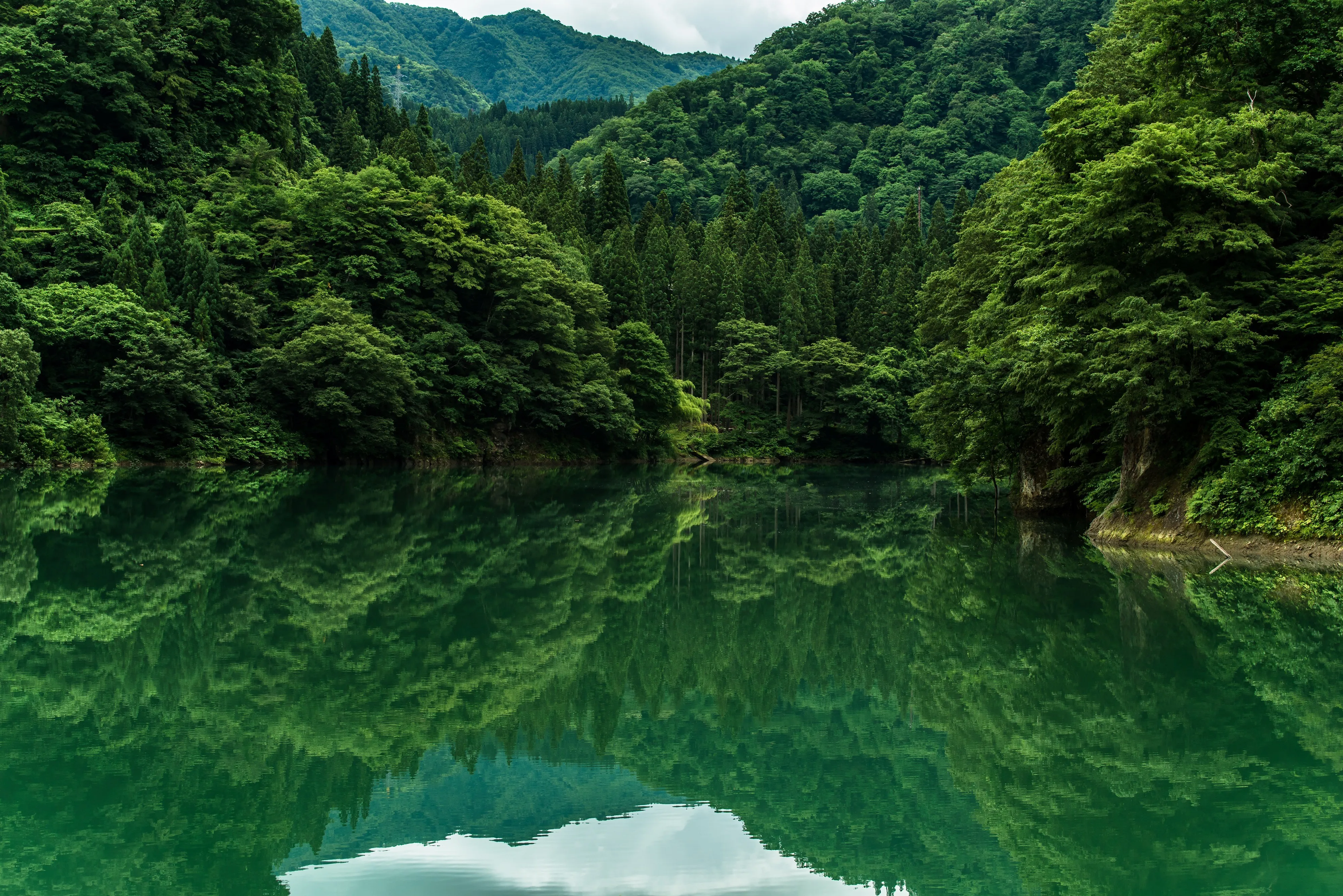 树 山 水 湖 4K壁纸
