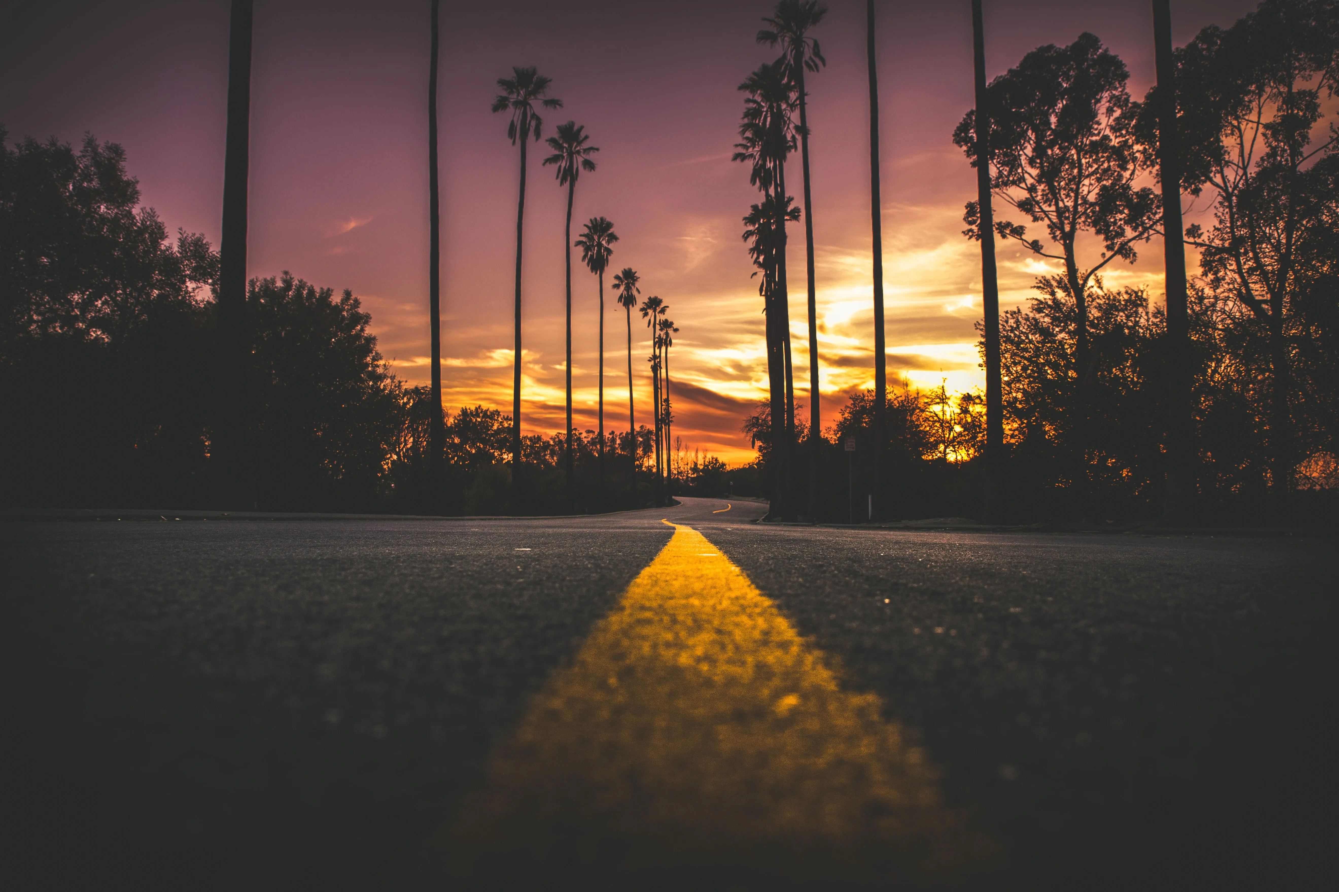 风景 自然 道路 夕阳 棕榈树 沥青 剪影 橙色 天空 4K壁纸