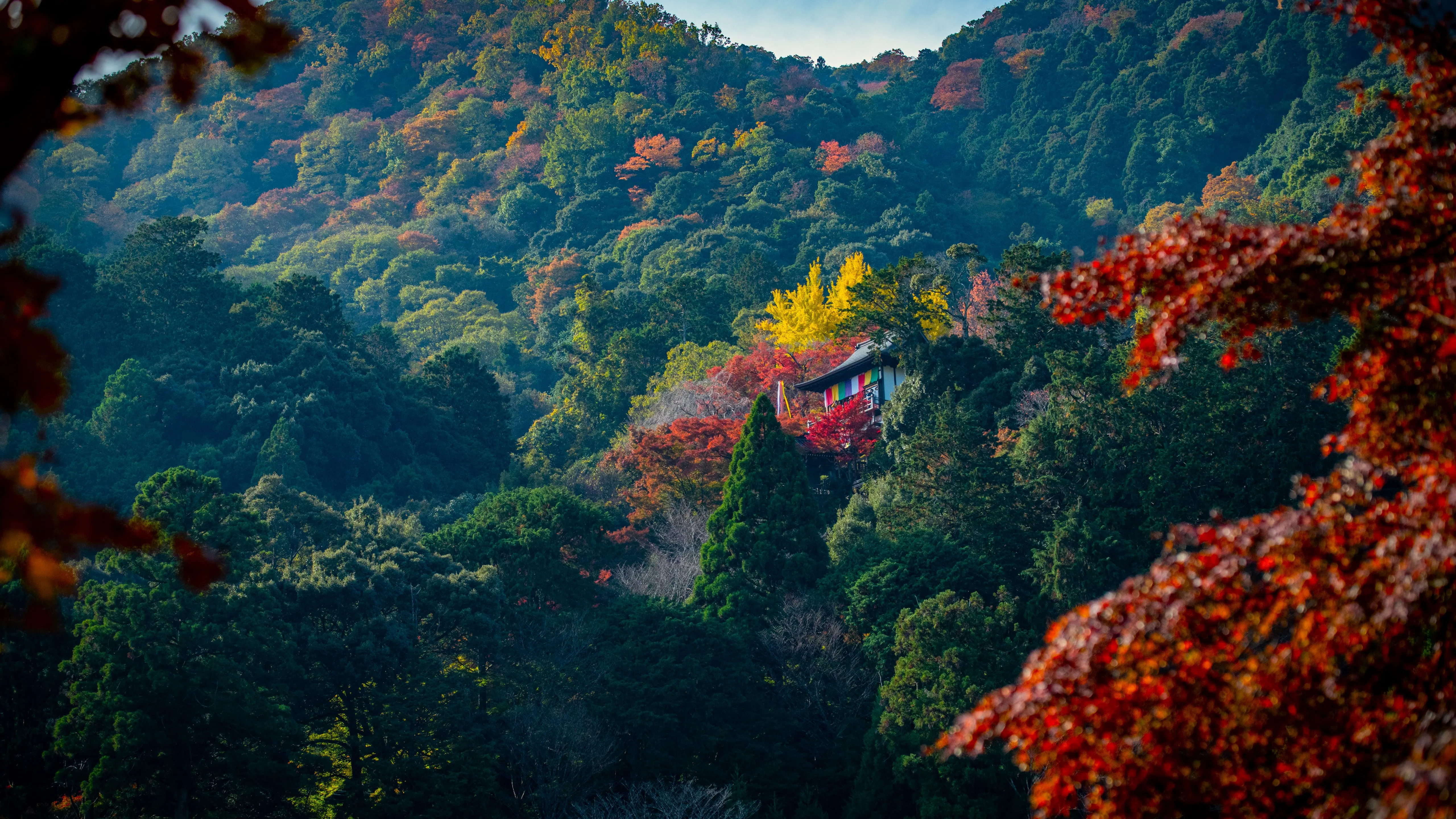 自然 寺庙 山脉 树木 树叶 秋天 森林 4K壁纸