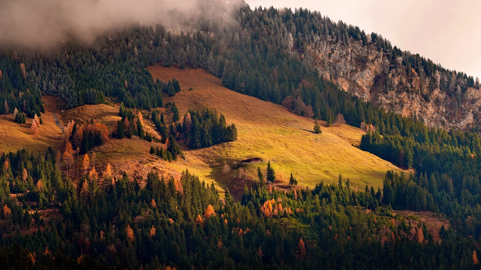 景观 山脉 树木 云 秋天 松树 超宽 自然 4K壁纸