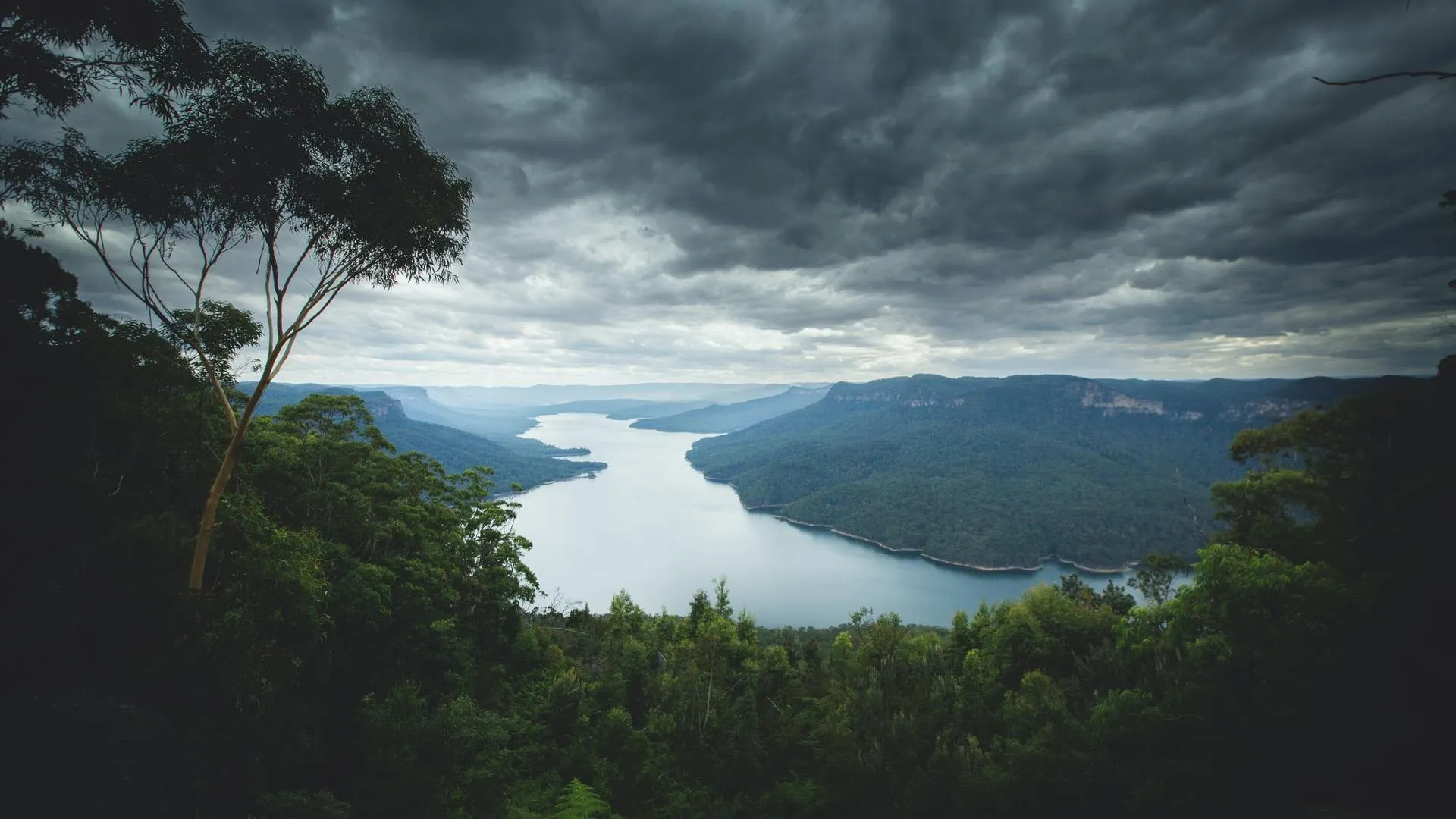 自然 风景 山脉 河流 树木 植物 云 远景 热带