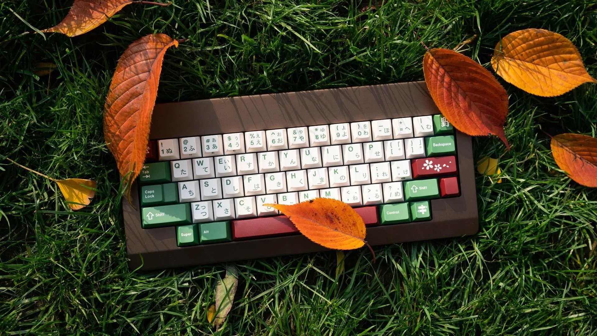 机械键盘 草 过时的 电脑壁纸 8K壁纸