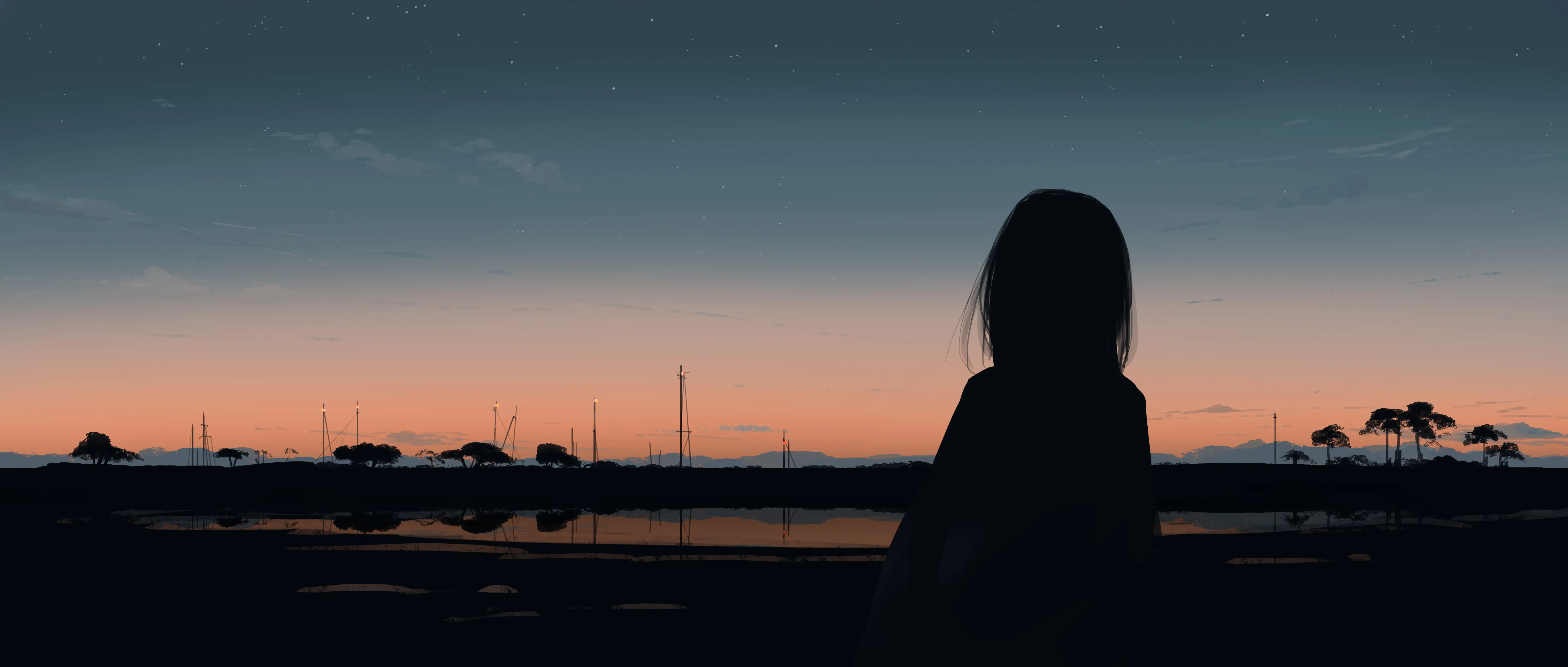 优雅 插图 日落 星星 超宽 风景 剪影 4K壁纸