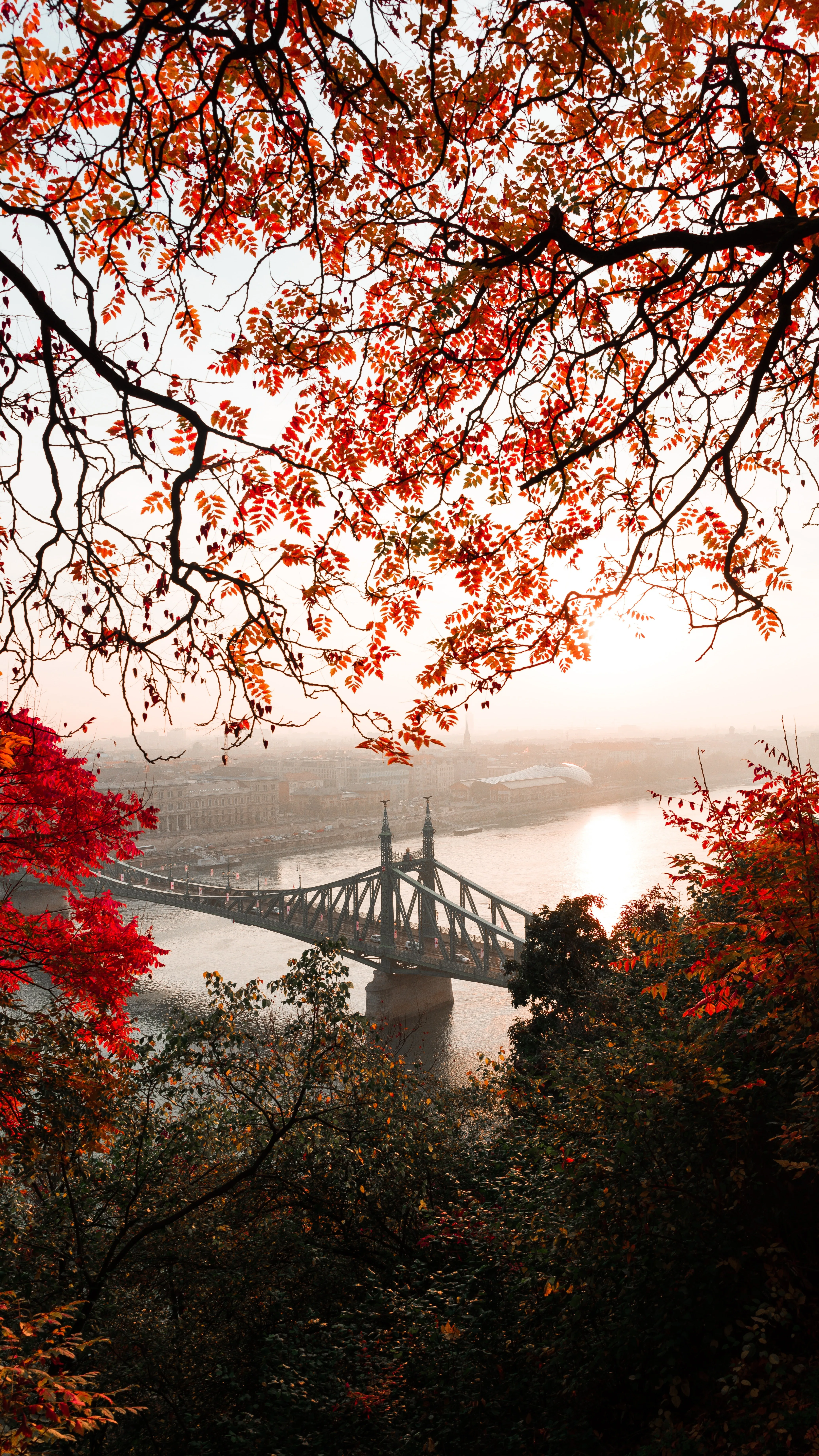 自然 景观 秋天 树叶 红色 云 森林 城市 河流 桥梁 手机壁纸 4K壁纸