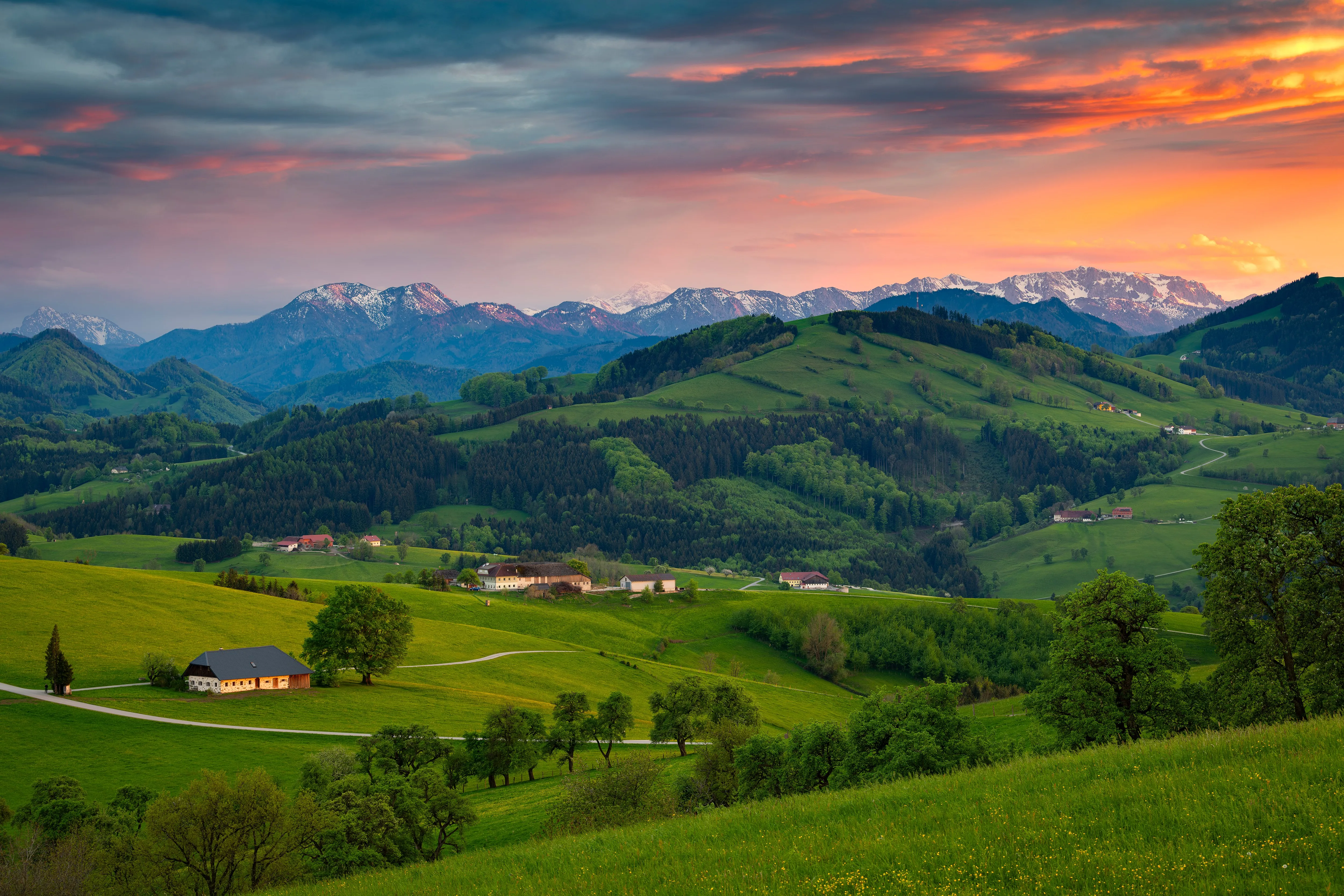自然 景观 树木 森林 山丘 山脉 云 天空 房屋 村庄 花朵 雪山 春天 日落 绿色 橙色 天空 草 4K壁纸