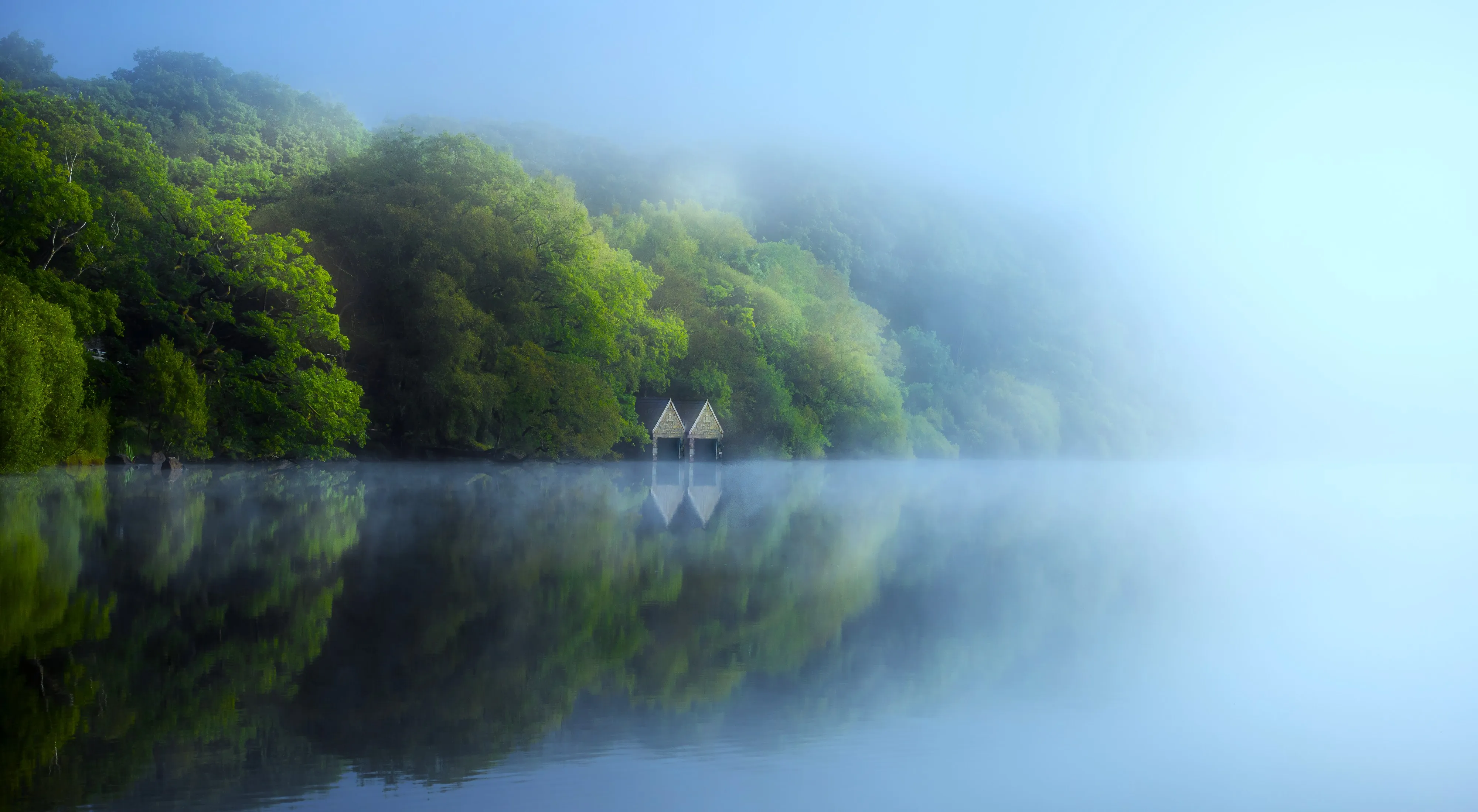 自然 景观 树木 森林 雾 湖泊 水 小屋 废弃 4K壁纸