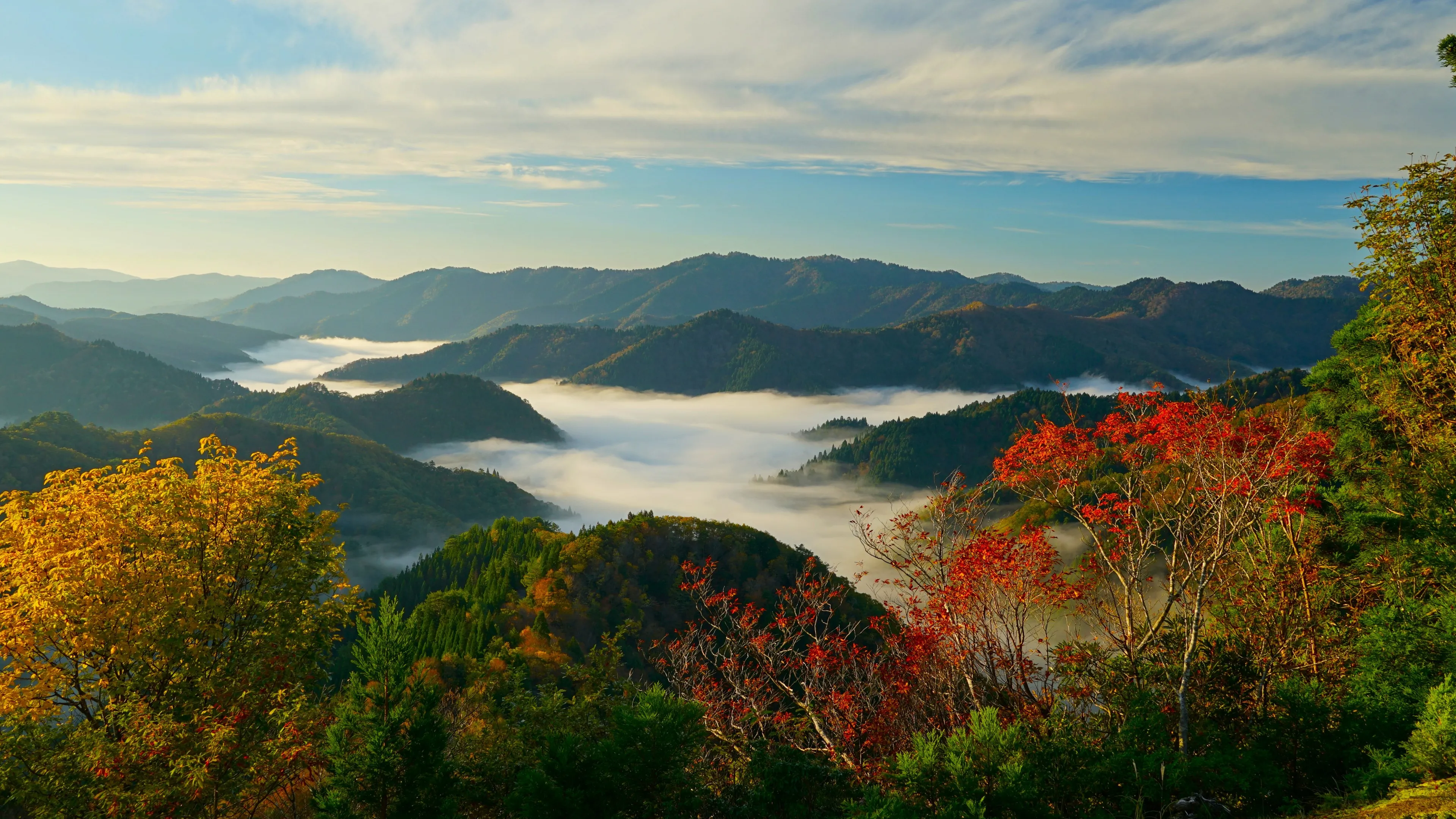 自然 风景 树木 天空 云 森林 山脉 薄雾 山景 秋天 4K壁纸