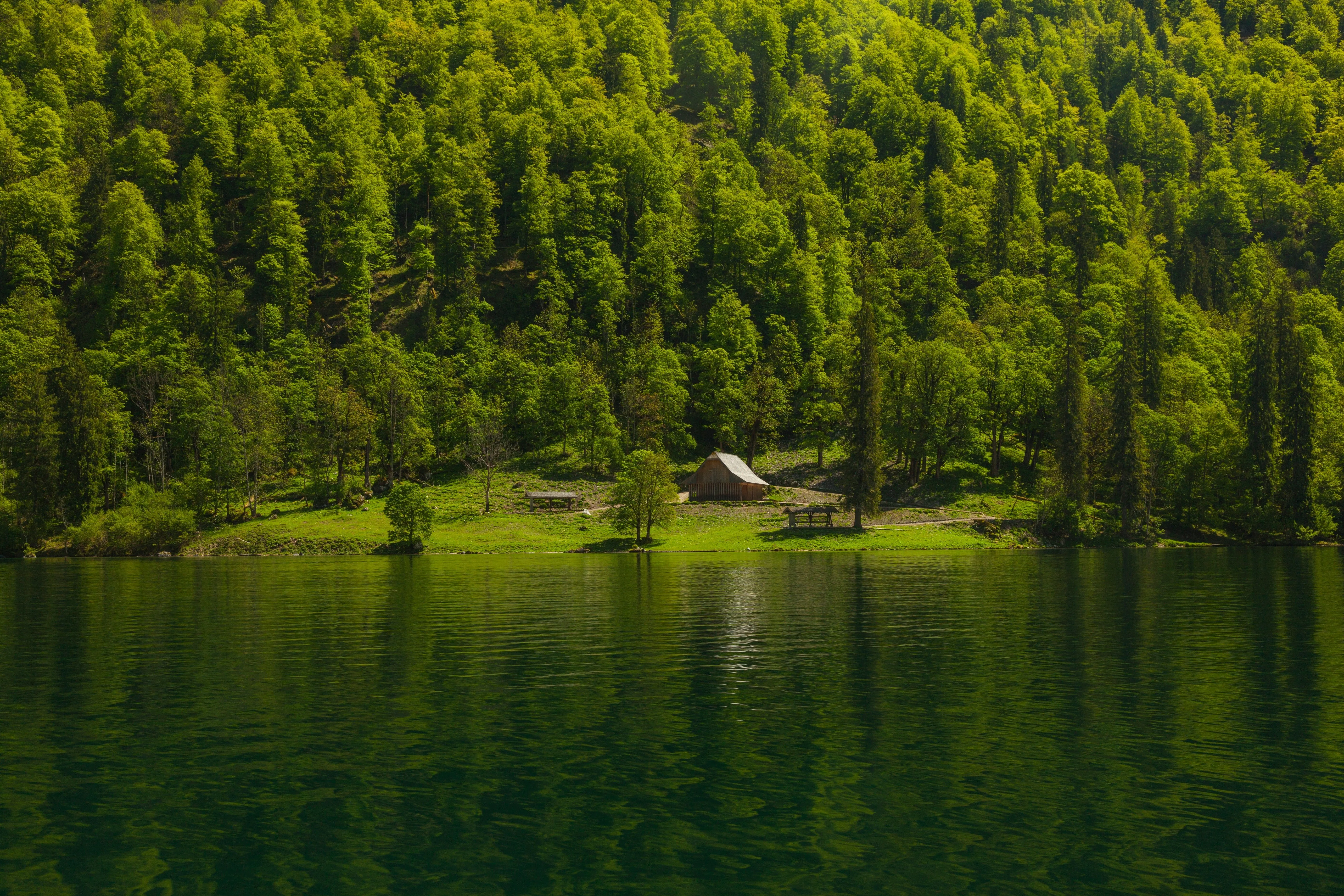 森林 水 绿色 倒影 树木 山脉 房屋 河流 风景 自然 丘陵 木屋 4K壁纸