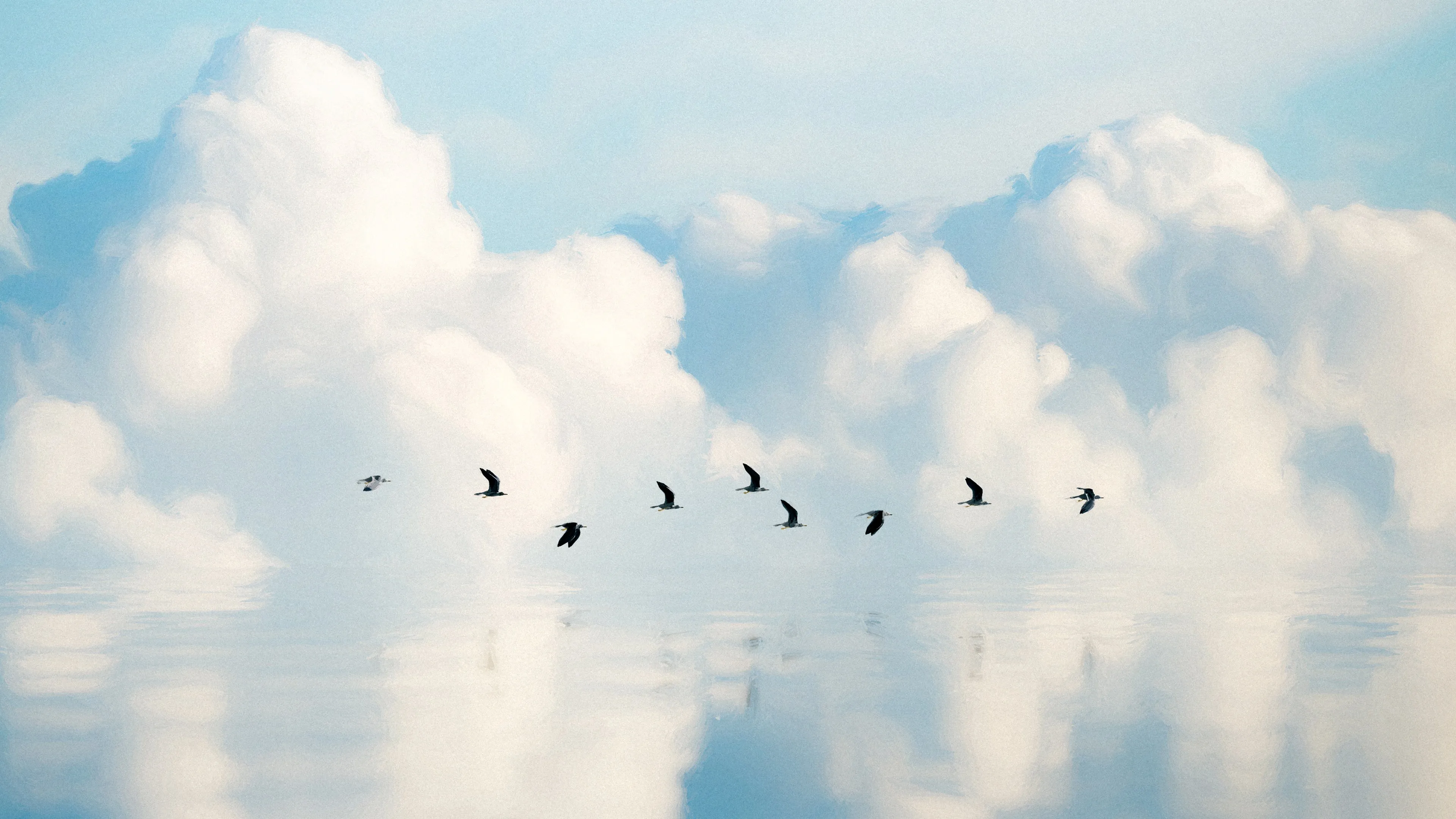 数字艺术 艺术品 插图 数字 绘画 风景 自然 海洋 水 倒影 云 鸟类 4K壁纸