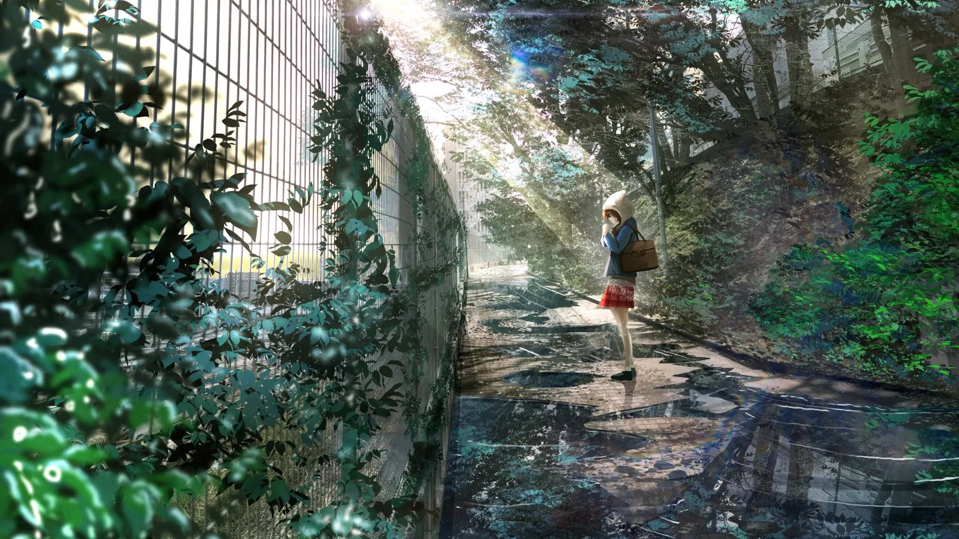 女学生 动漫女孩 树叶 袋 阳光 校服 围栏 反射 水坑