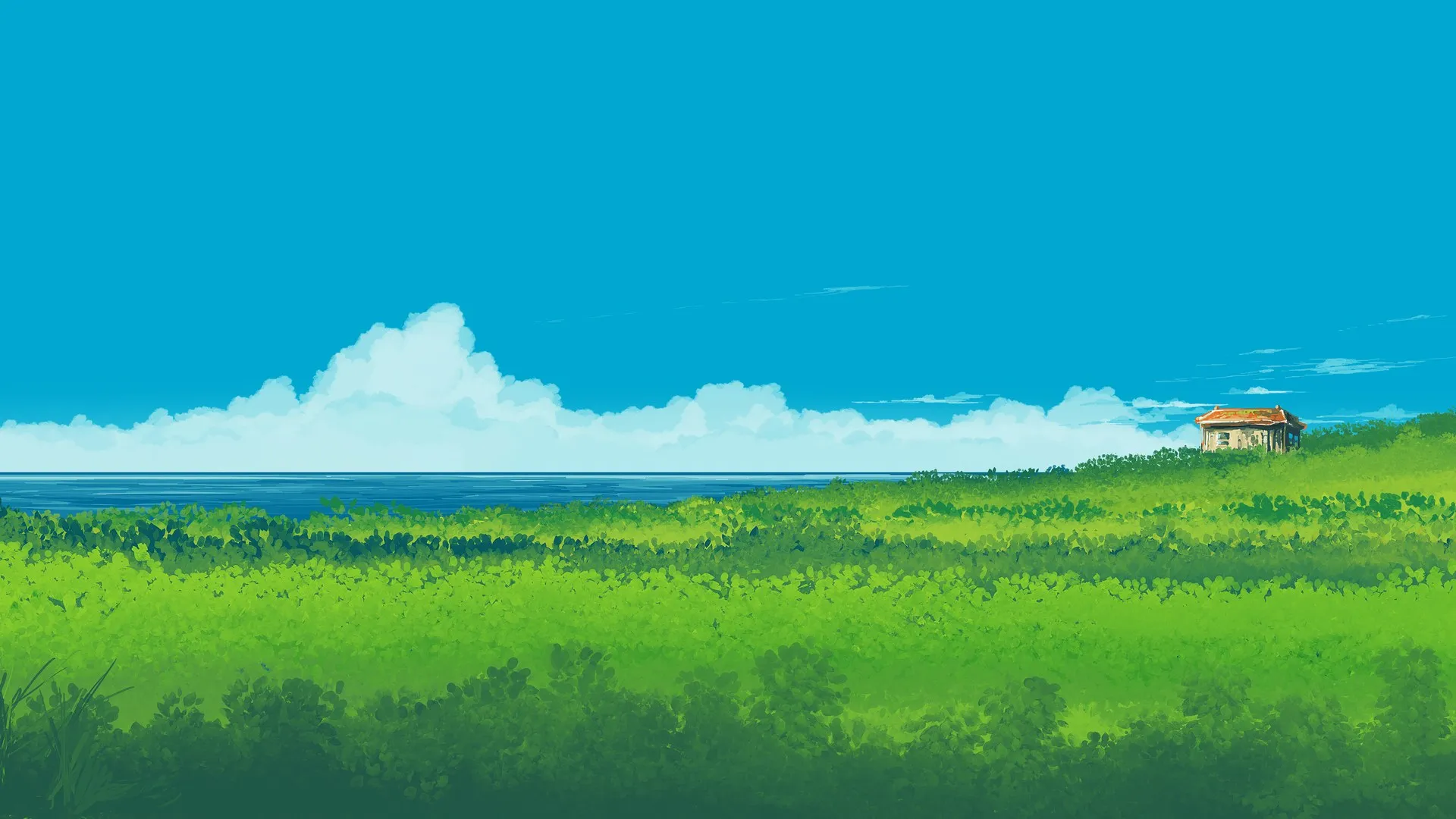 风景 云 自然 海洋 植物 天空 电脑壁纸 4K壁纸