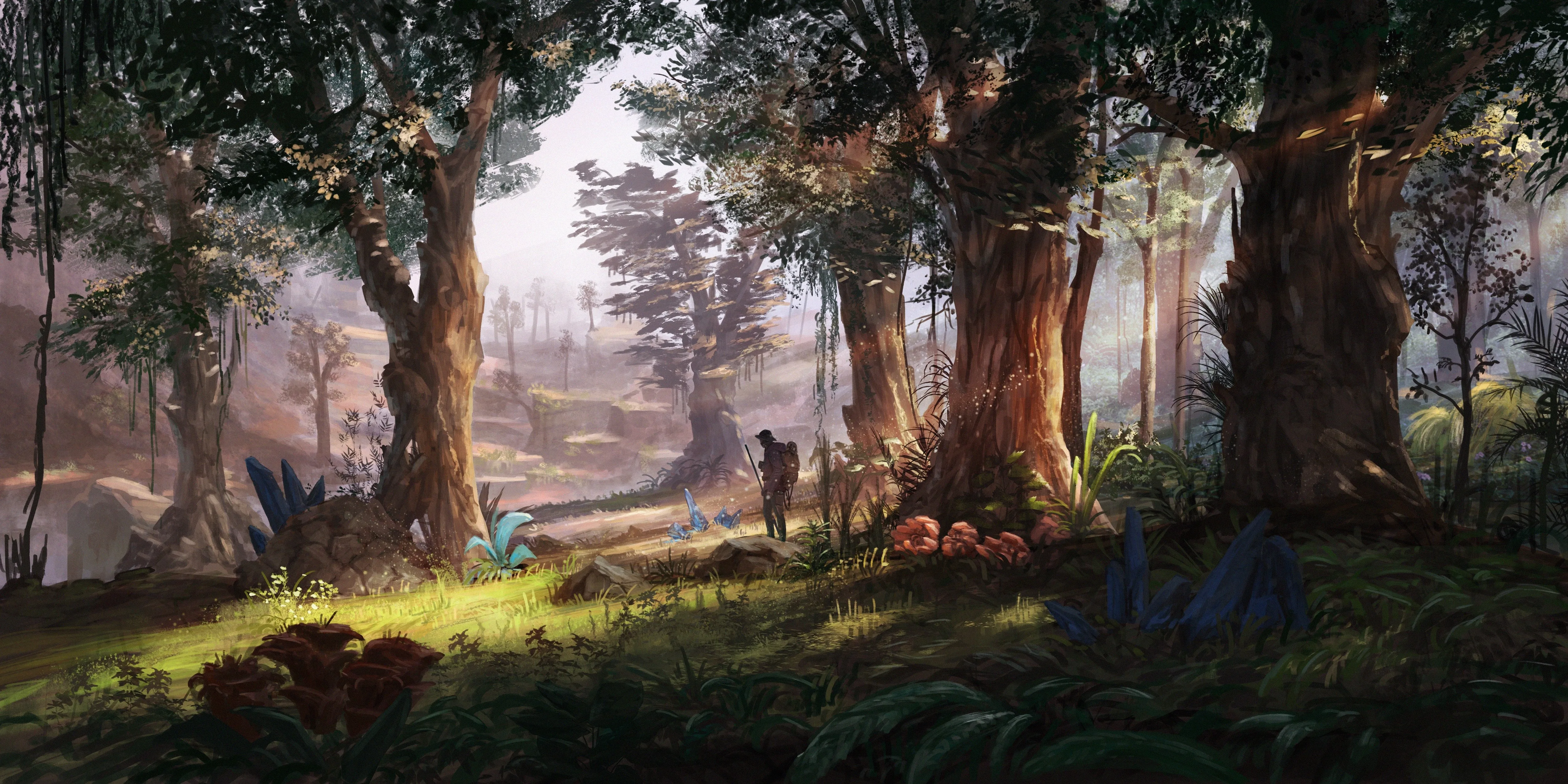 猎人 森林 阳光 植物