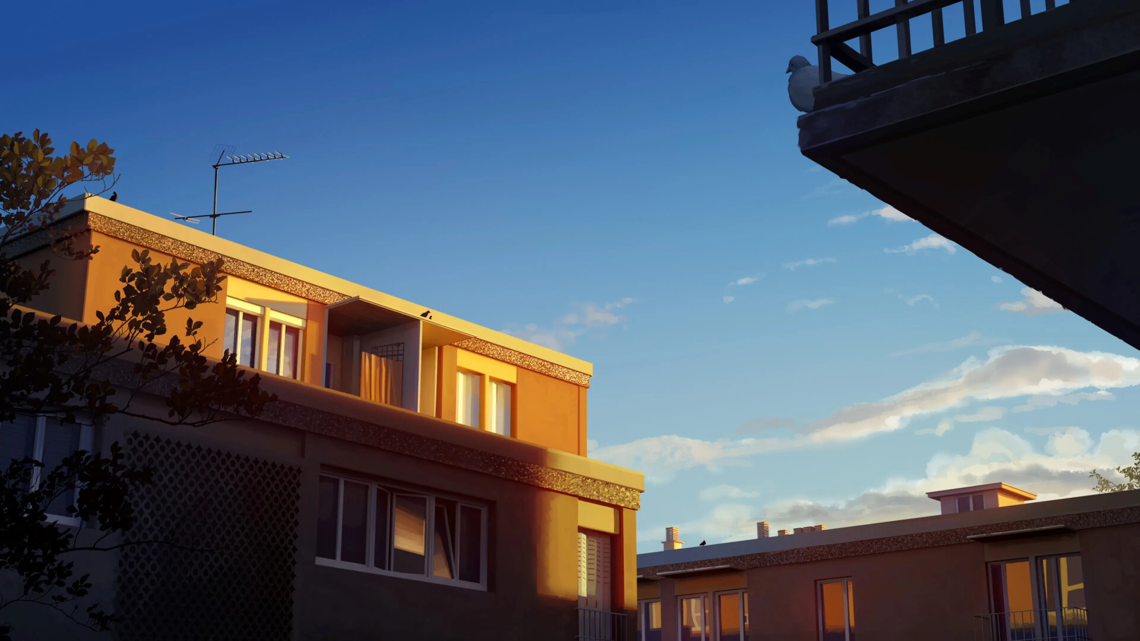 阳光 数字艺术 建筑 阴影 和平 天空 云 窗户 日出 树叶 电脑壁纸 4K壁纸