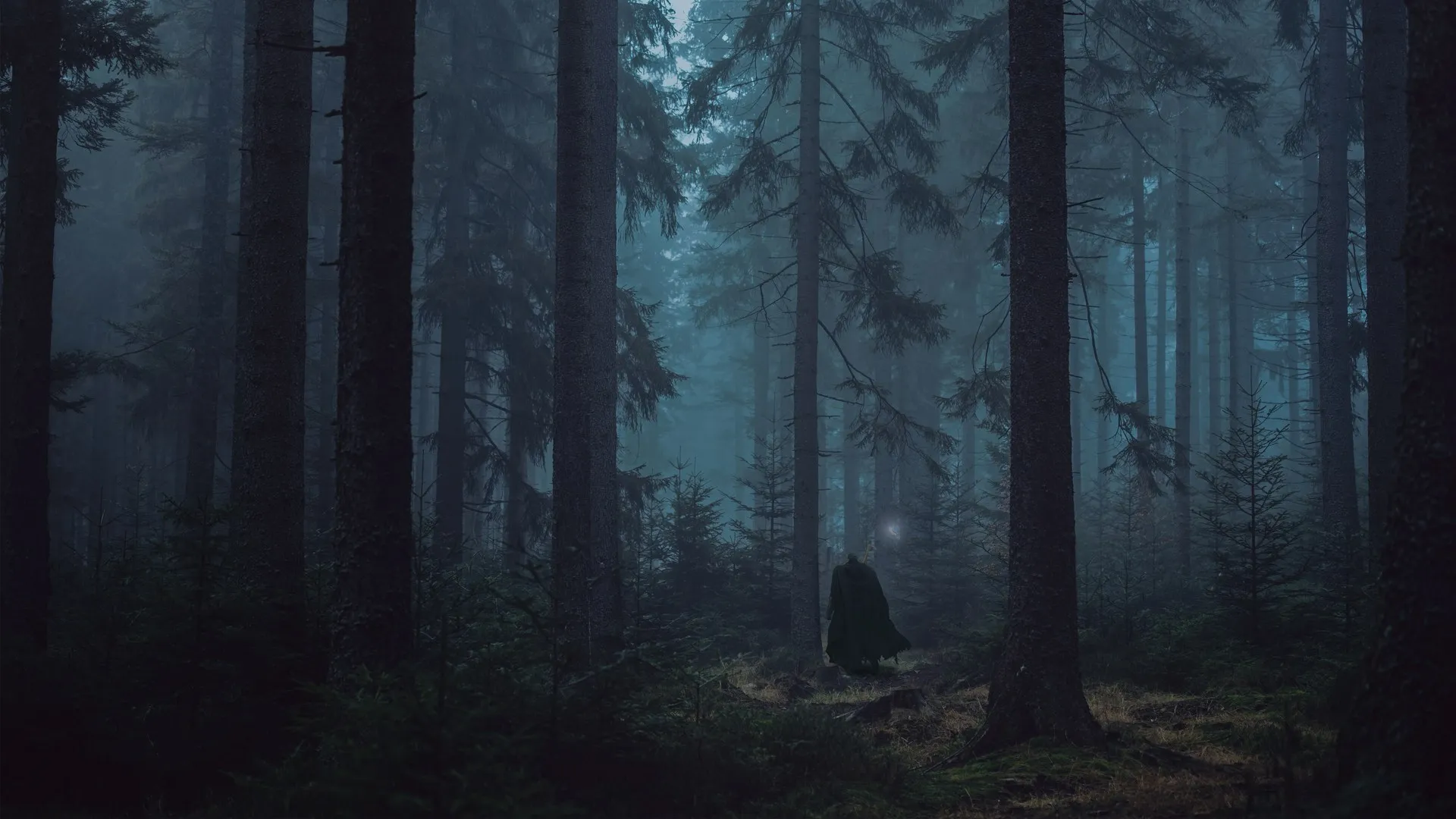 狂暴 狂暴装甲 树木 森林 黑暗 胆量 电脑壁纸 4K壁纸