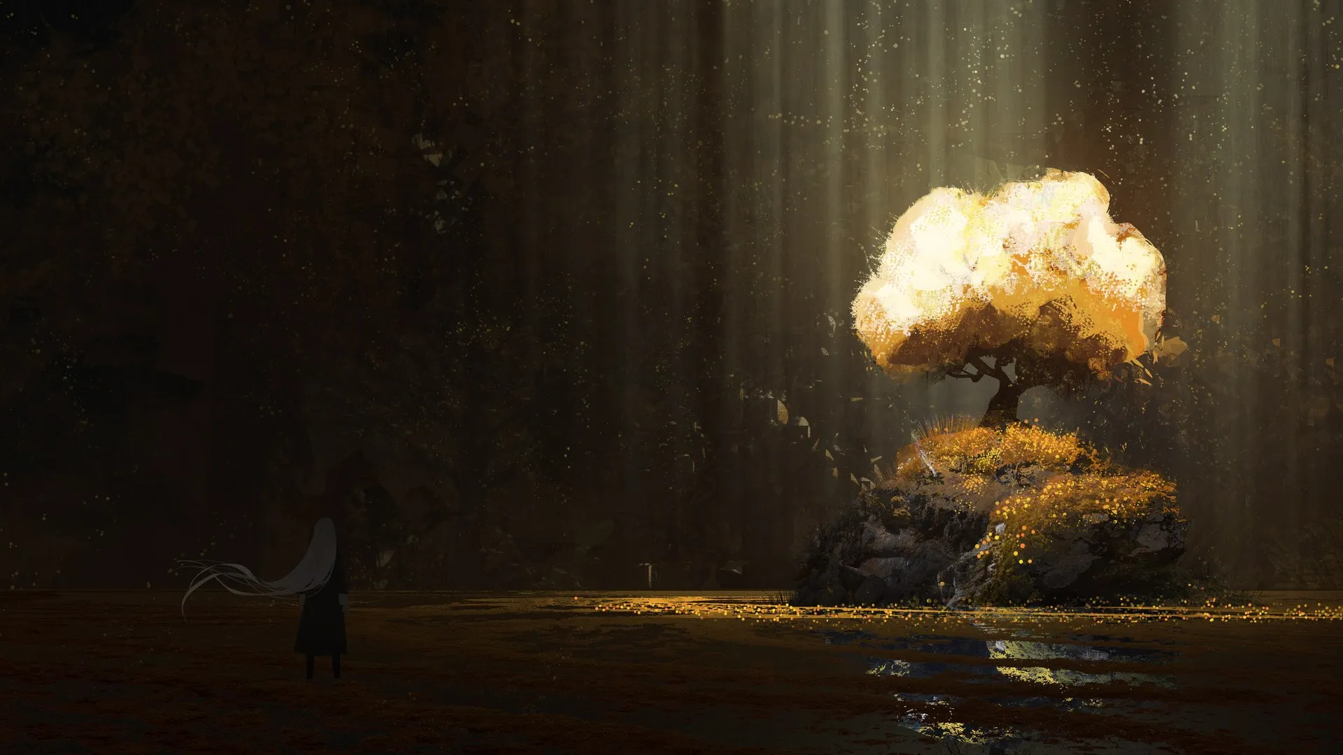 数字艺术 艺术品 森林 树木 巨石 电脑壁纸 4K壁纸